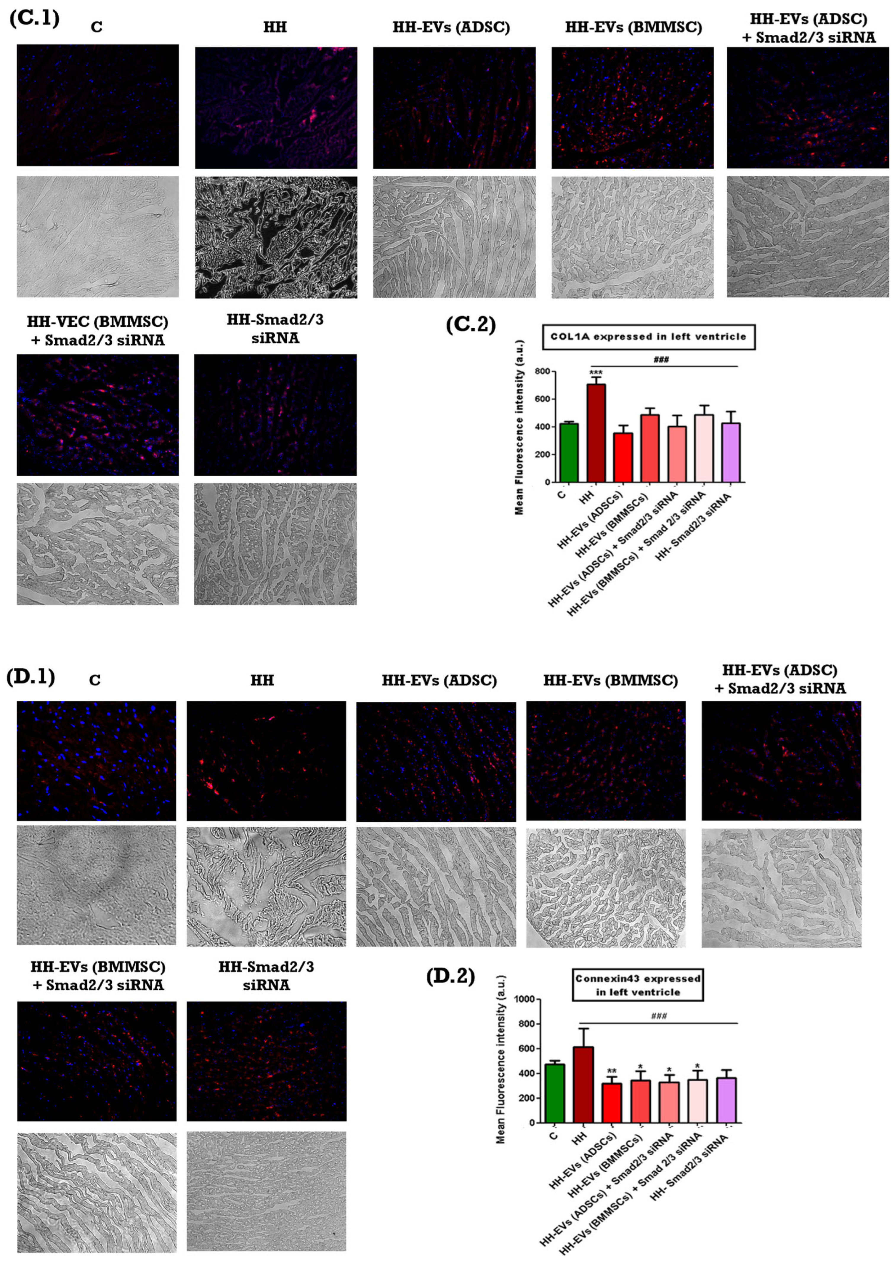 Biomolecules 15 01424 g006b