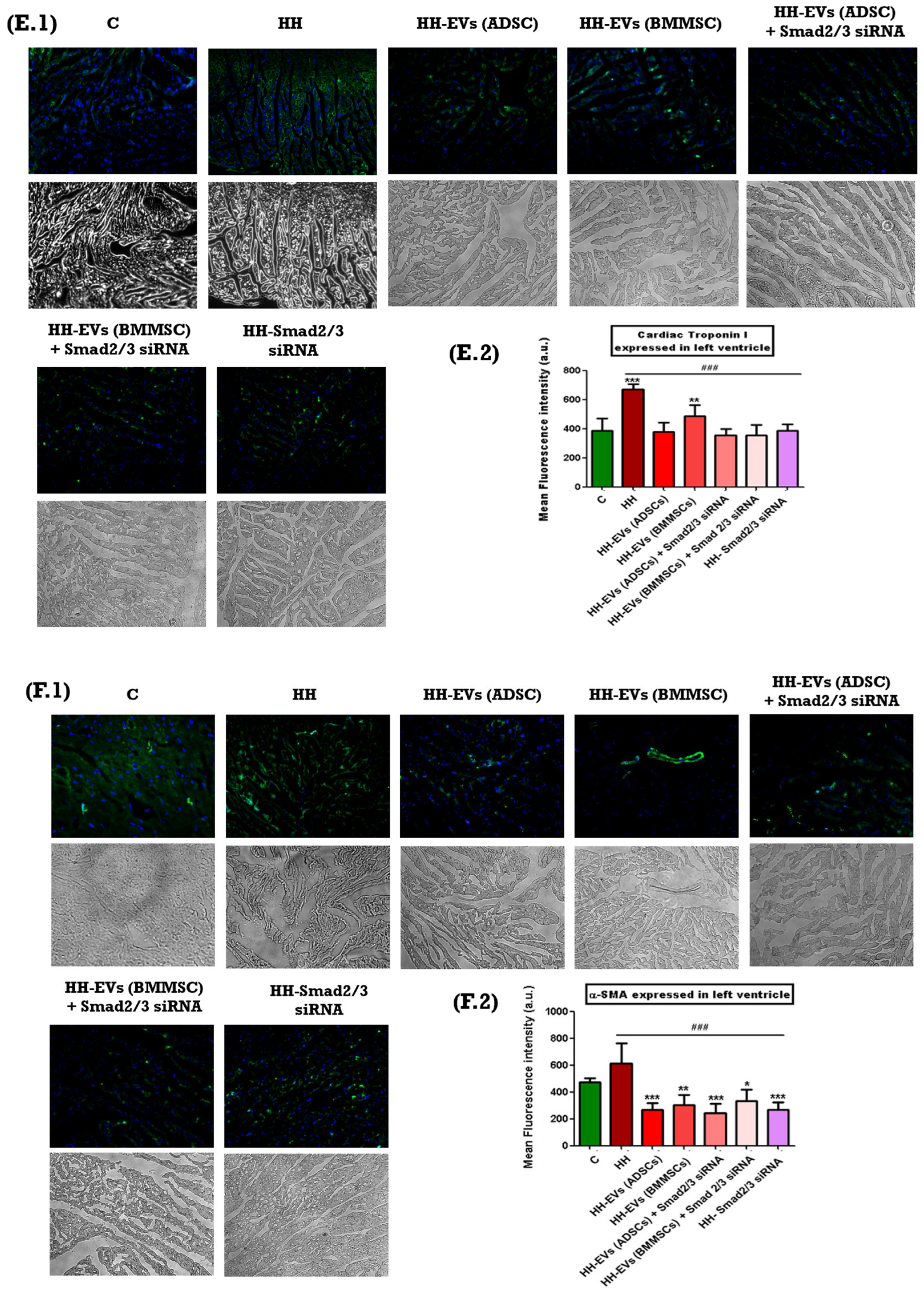 Biomolecules 15 01424 g006c