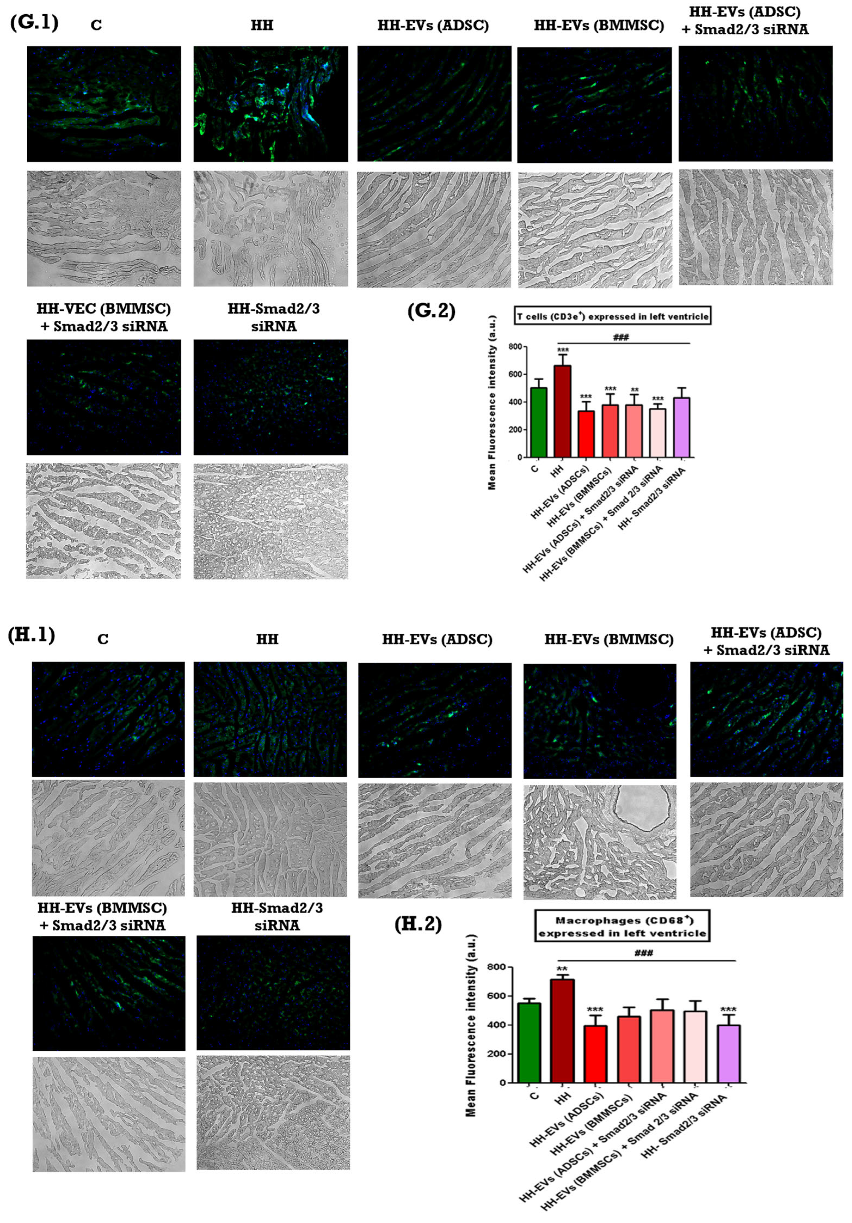 Biomolecules 15 01424 g006d