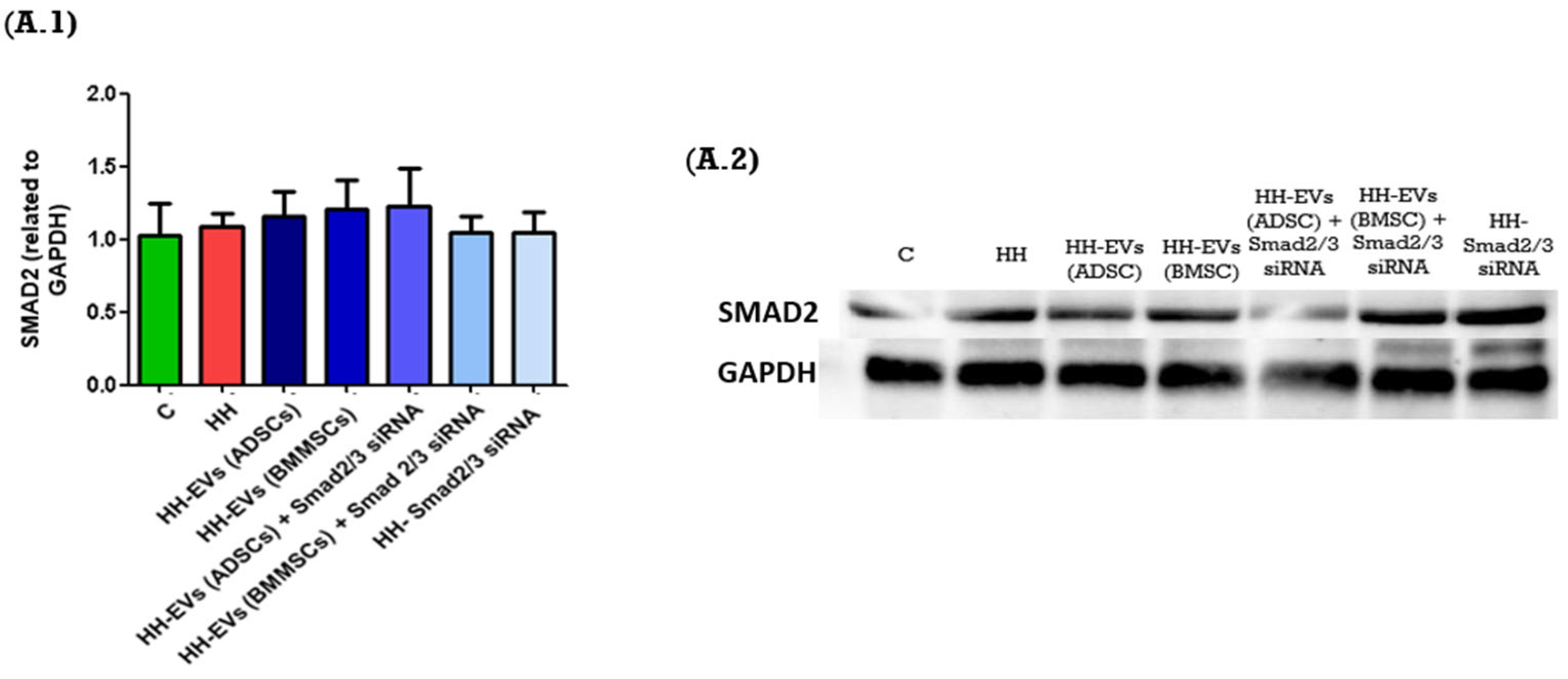 Biomolecules 15 01424 g007a