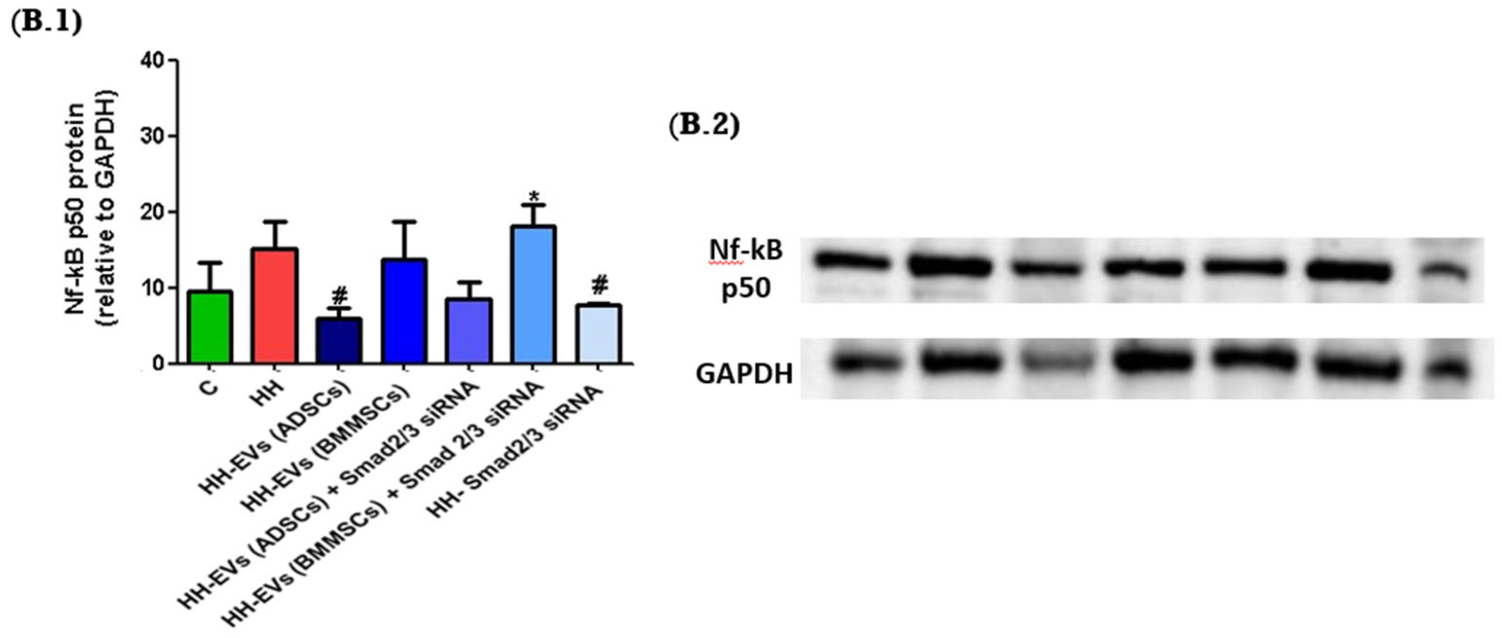 Biomolecules 15 01424 g007b