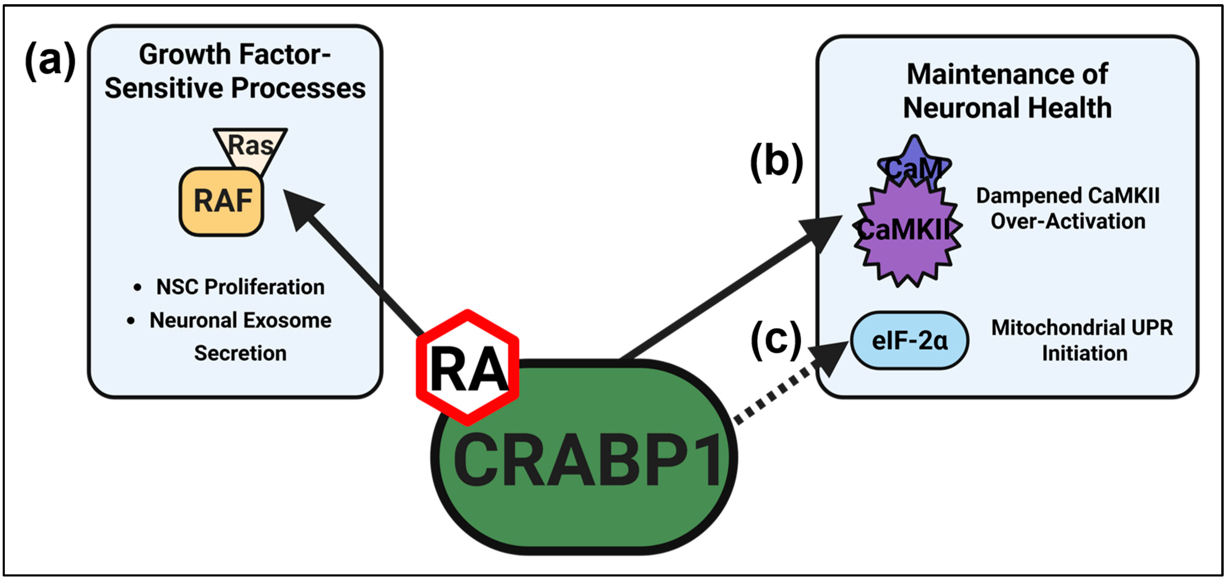 Biomolecules 15 01428 g001 Biomolecules 15 01428 g001