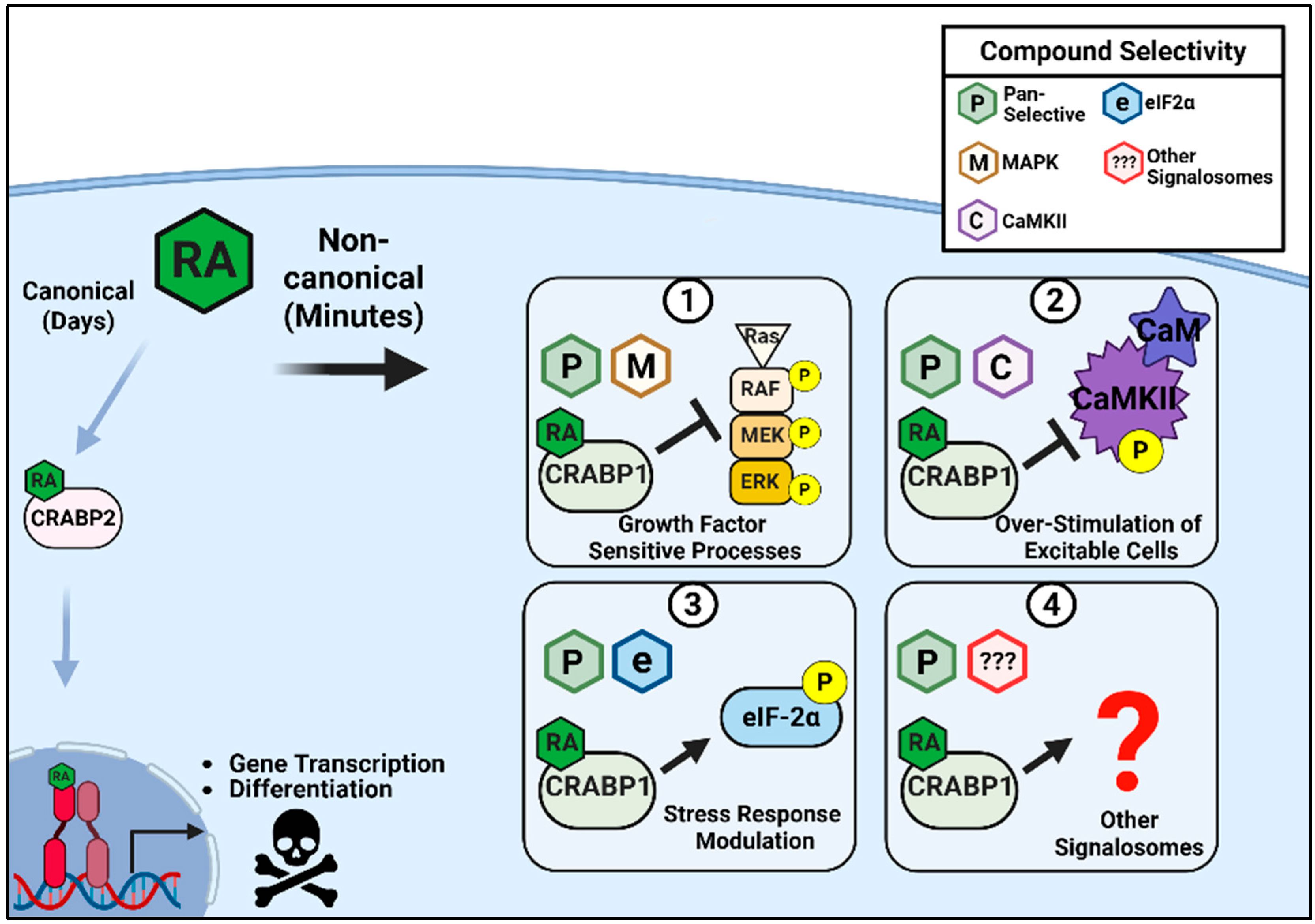 Biomolecules 15 01428 g003 Biomolecules 15 01428 g003