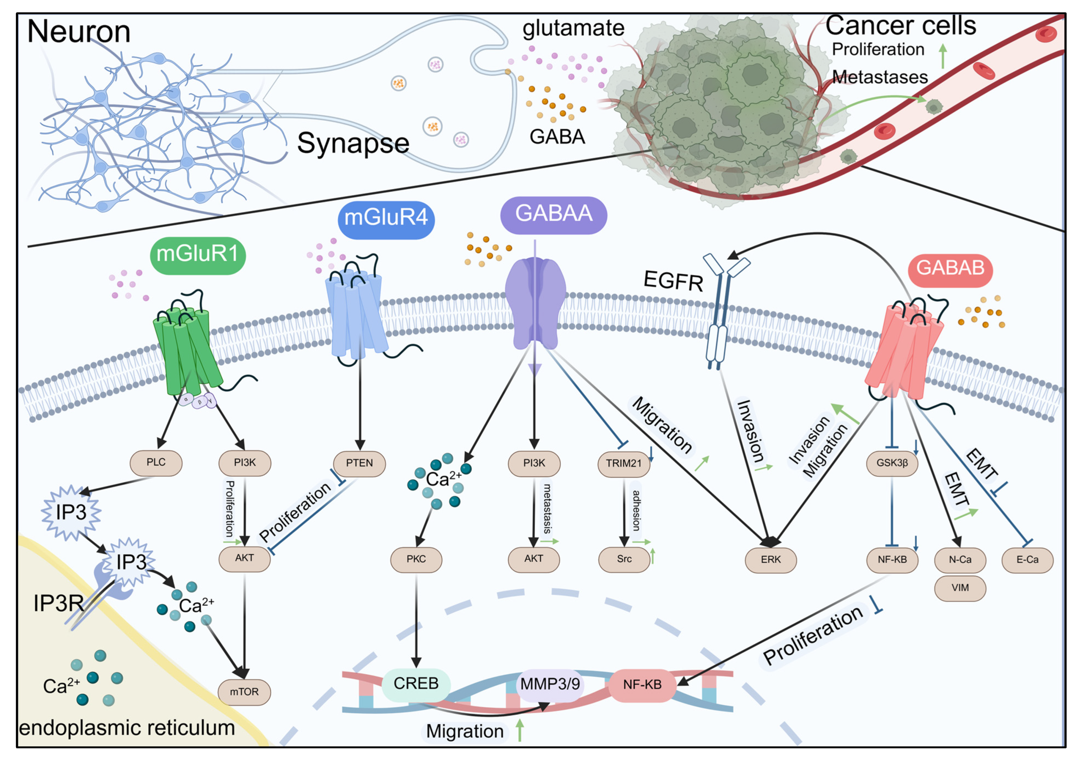 Biomolecules 15 01429 g003
