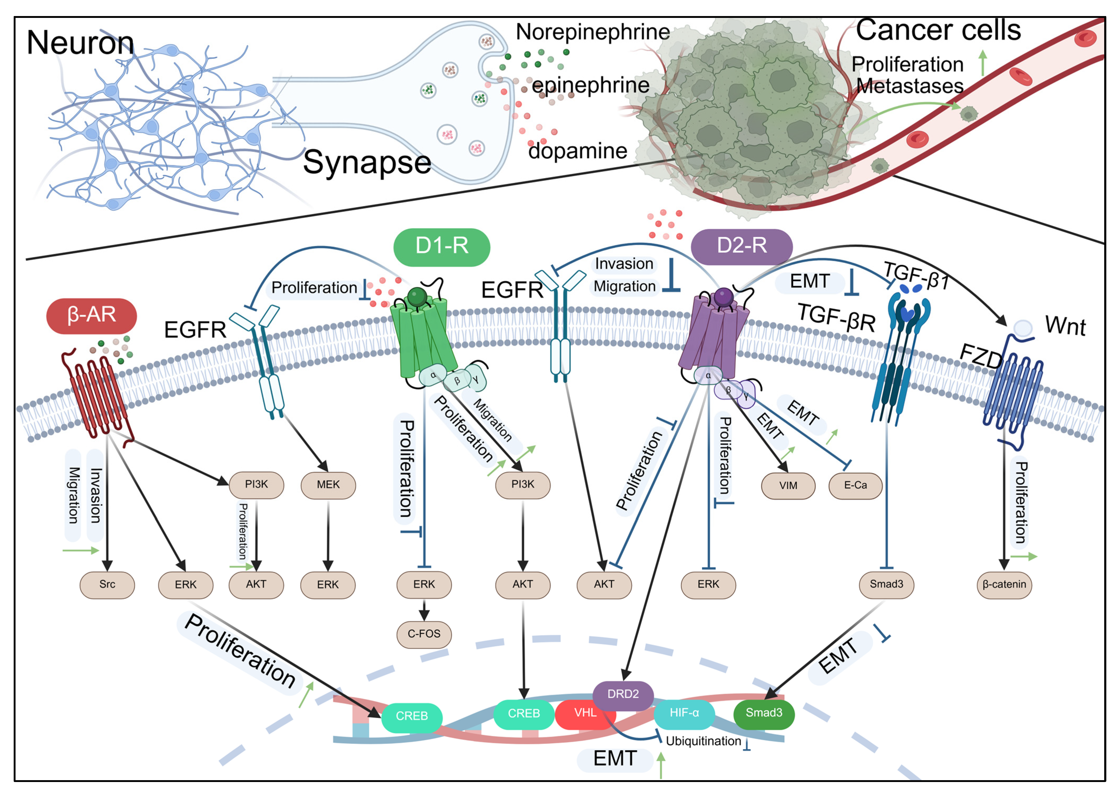 Biomolecules 15 01429 g004