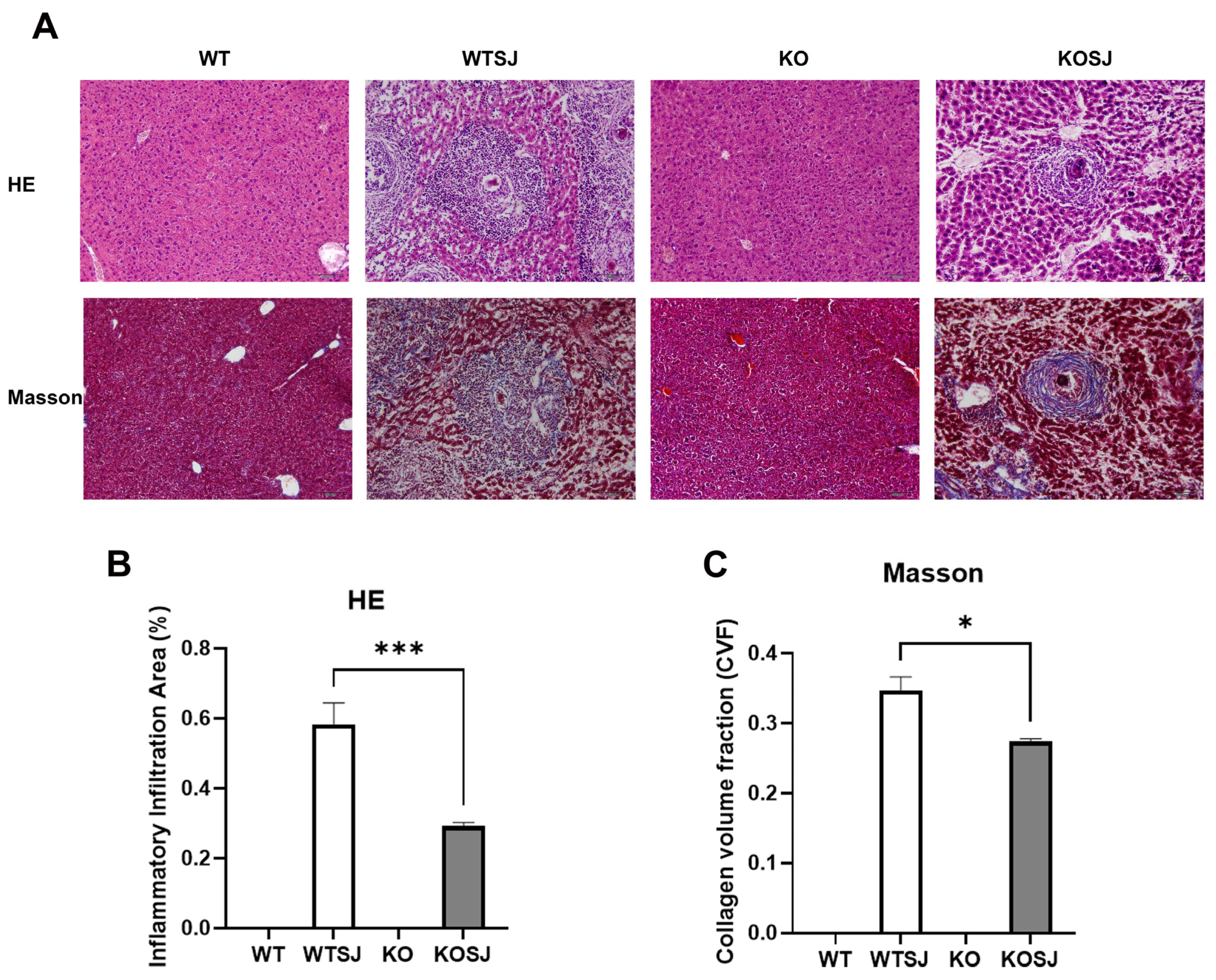Biomolecules 15 01430 g001 Biomolecules 15 01430 g001