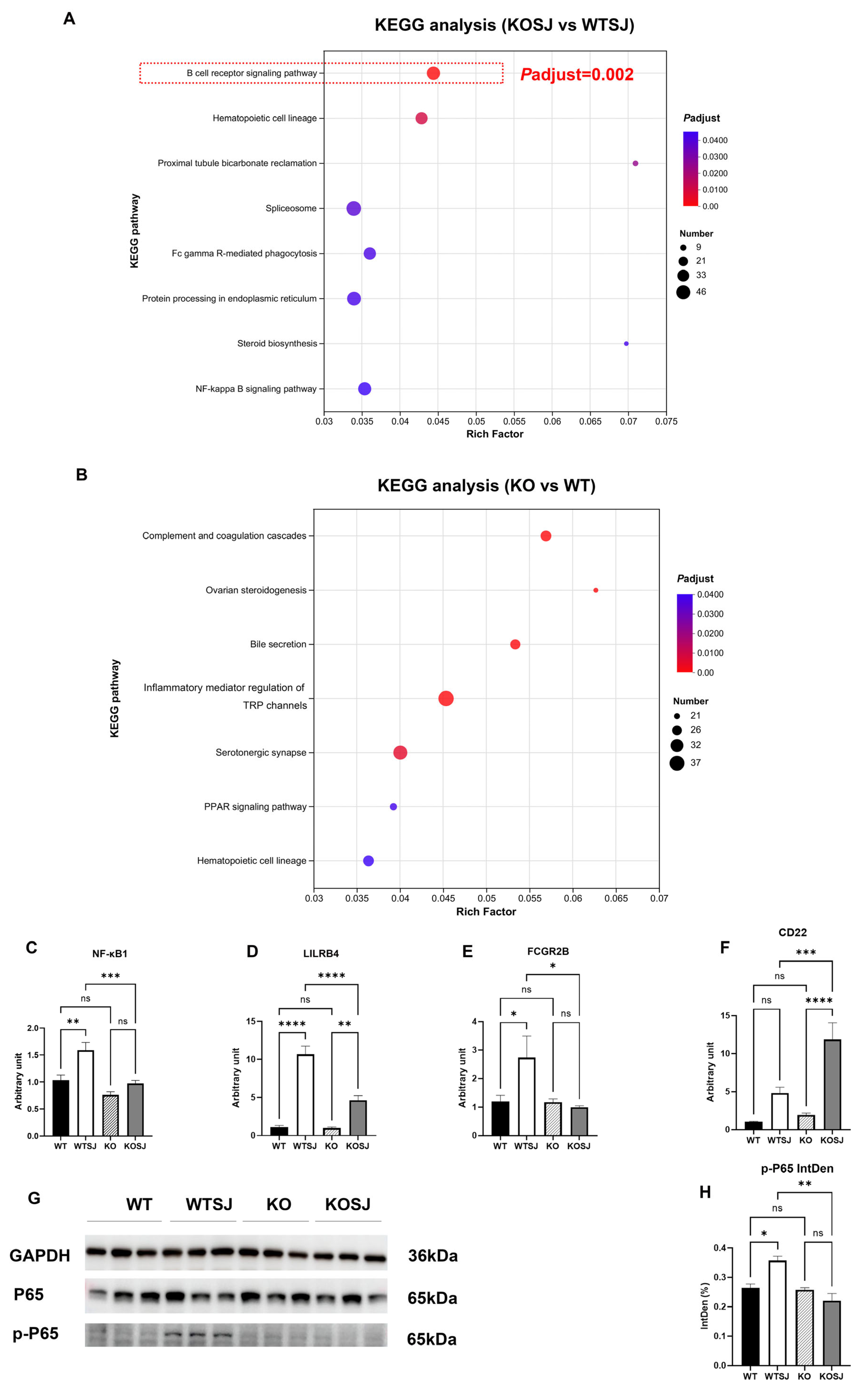 Biomolecules 15 01430 g002 Biomolecules 15 01430 g002