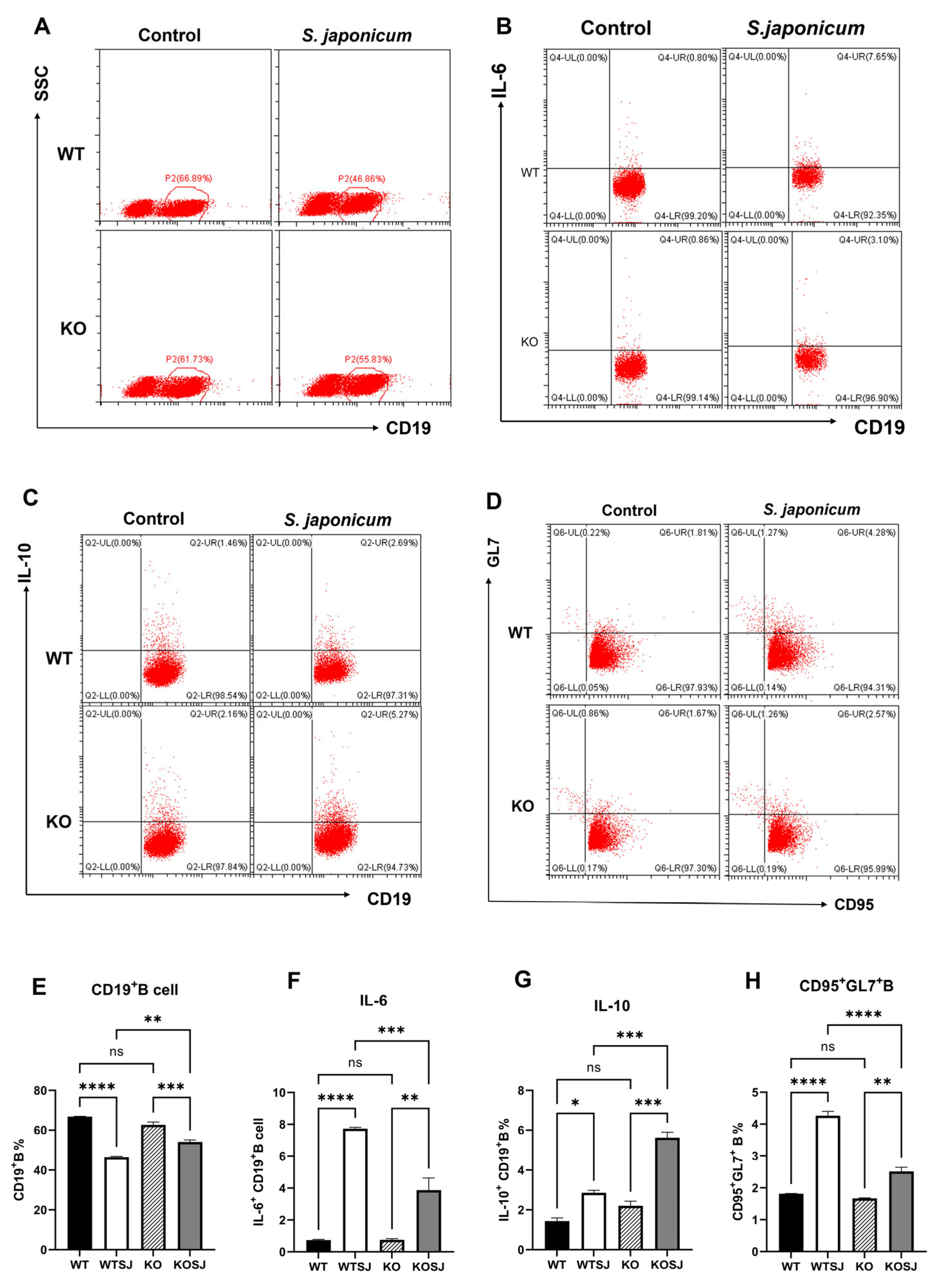 Biomolecules 15 01430 g003 Biomolecules 15 01430 g003