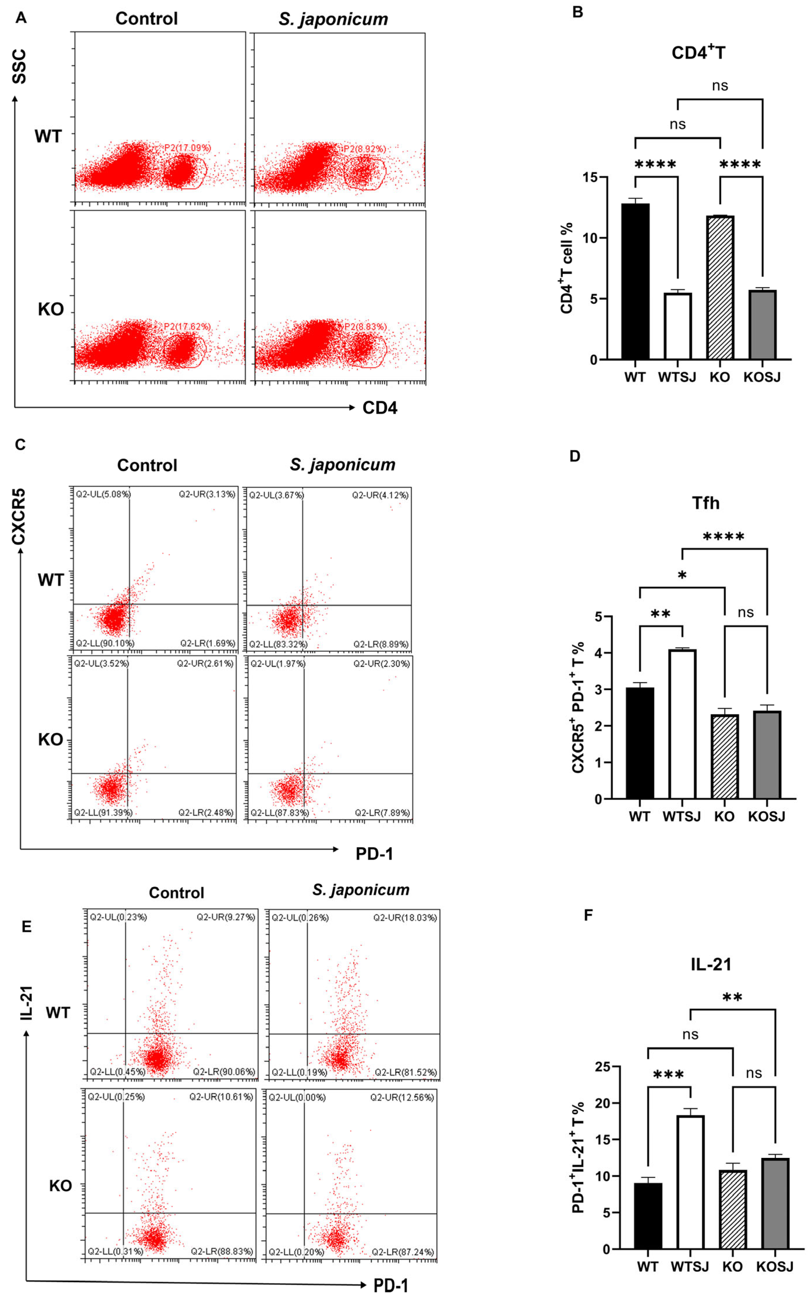 Biomolecules 15 01430 g005 Biomolecules 15 01430 g005