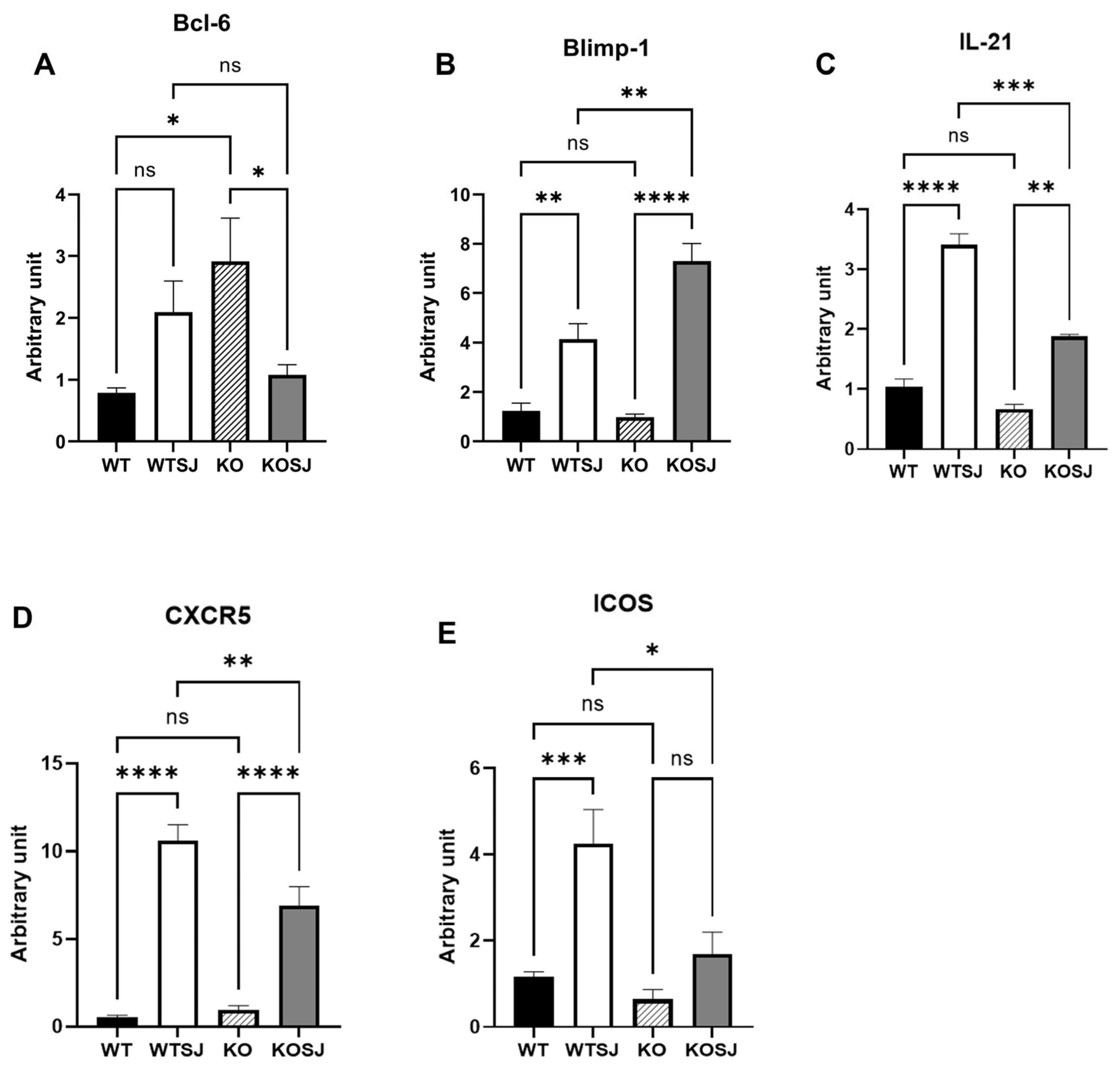 Biomolecules 15 01430 g007 Biomolecules 15 01430 g007
