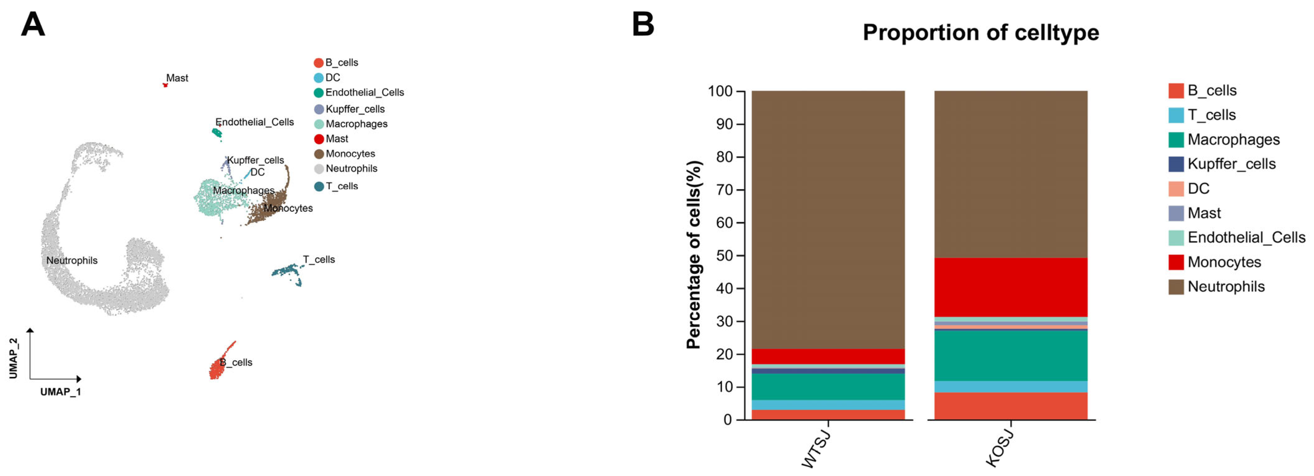 Biomolecules 15 01430 g008 Biomolecules 15 01430 g008