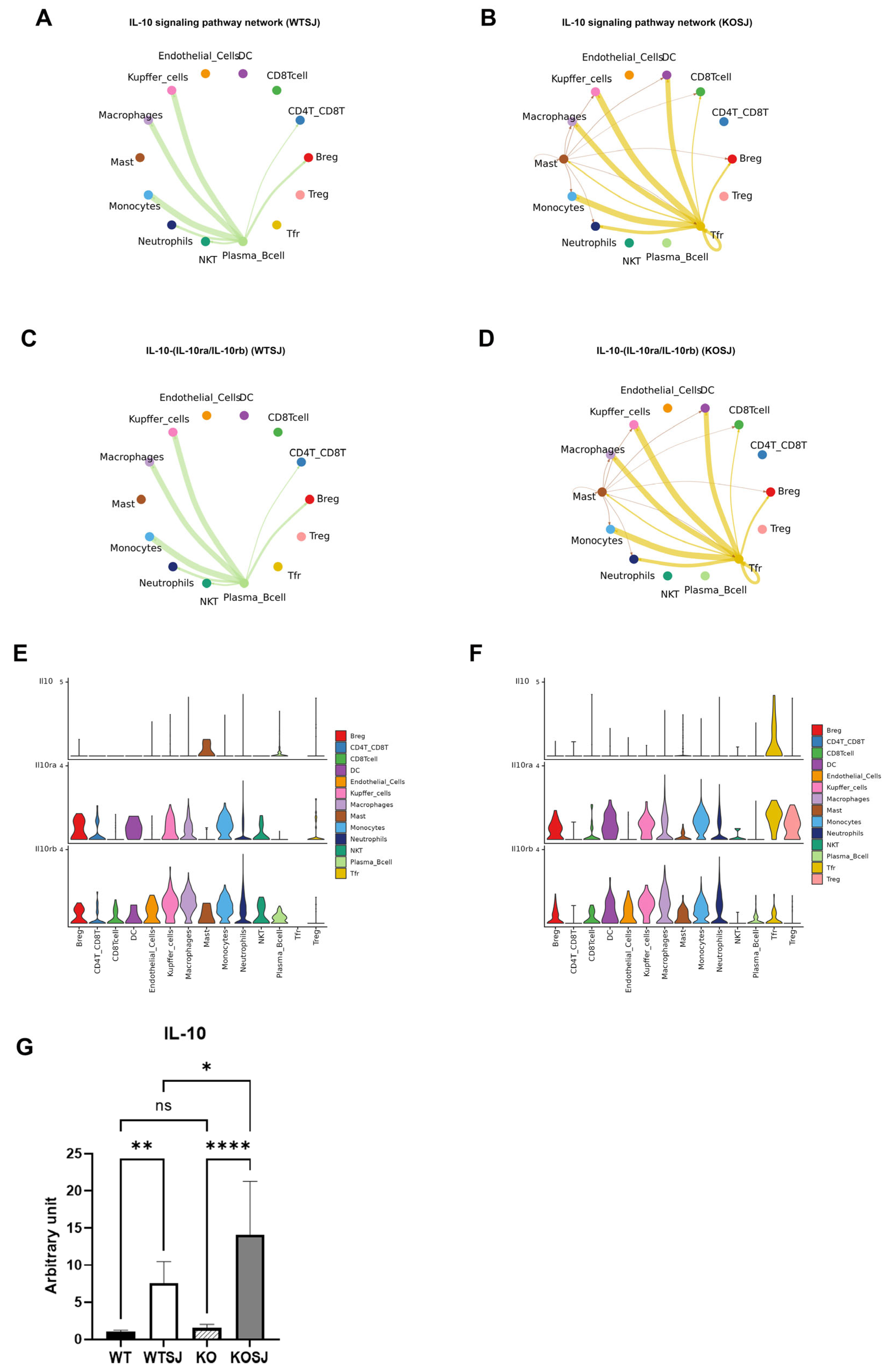 Biomolecules 15 01430 g011 Biomolecules 15 01430 g011