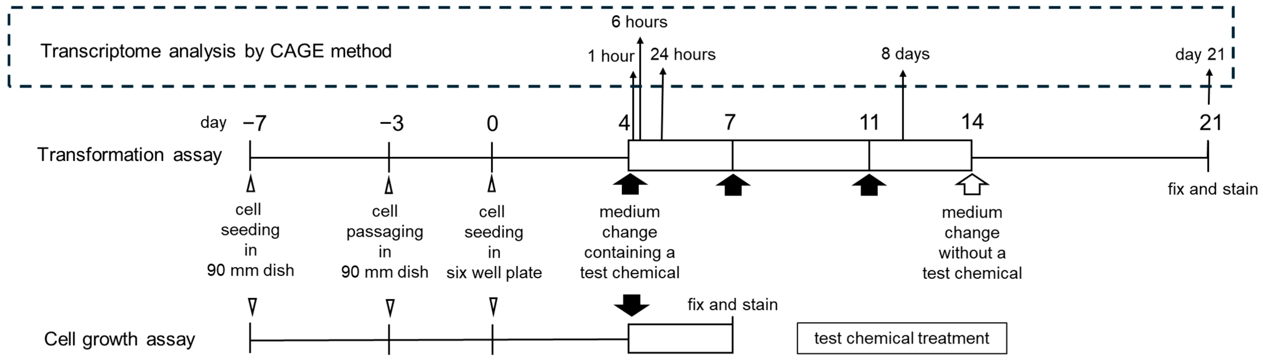 Biomolecules 15 01431 g002