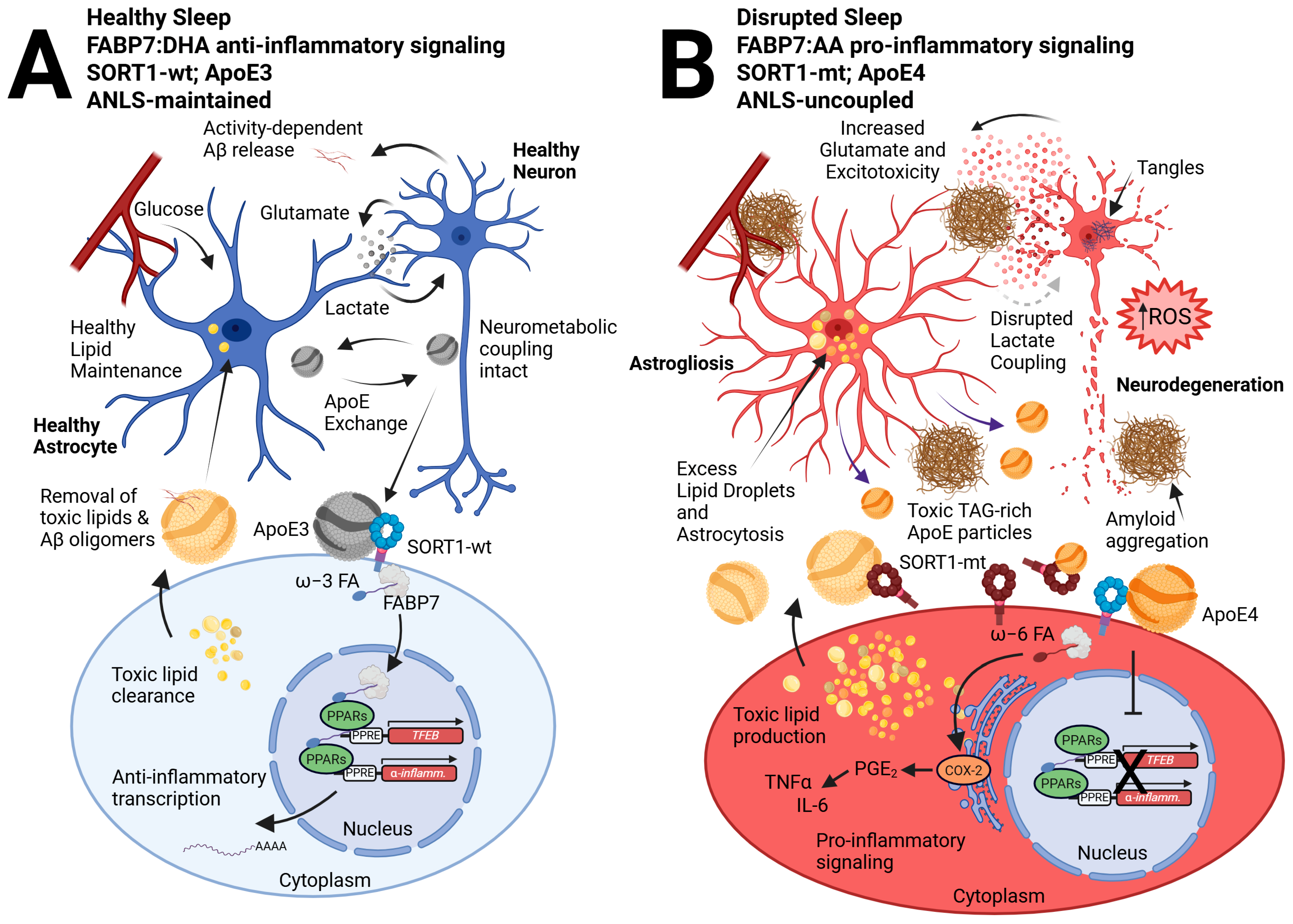 Biomolecules 15 01432 g001