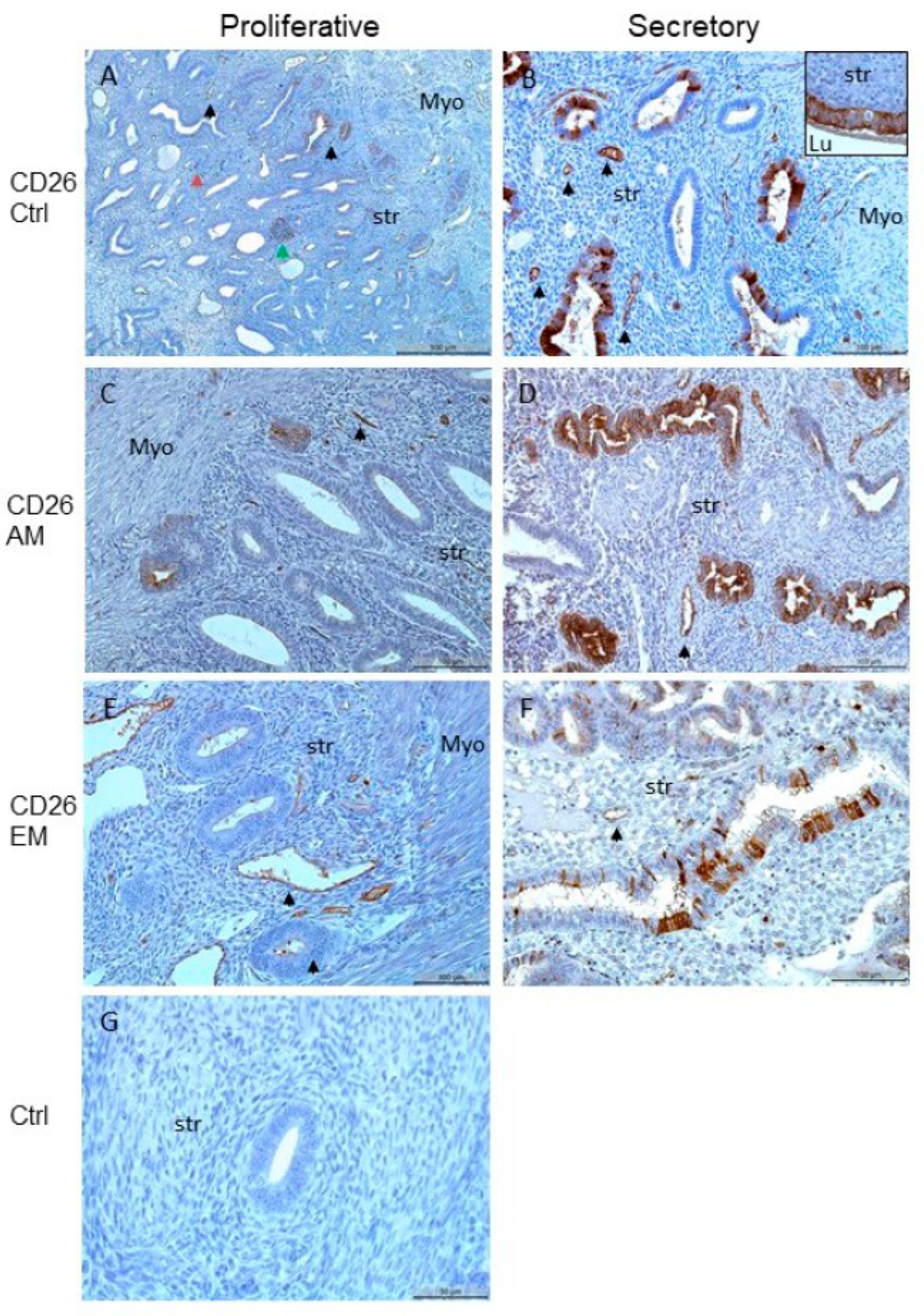 Biomolecules 15 01433 g001
