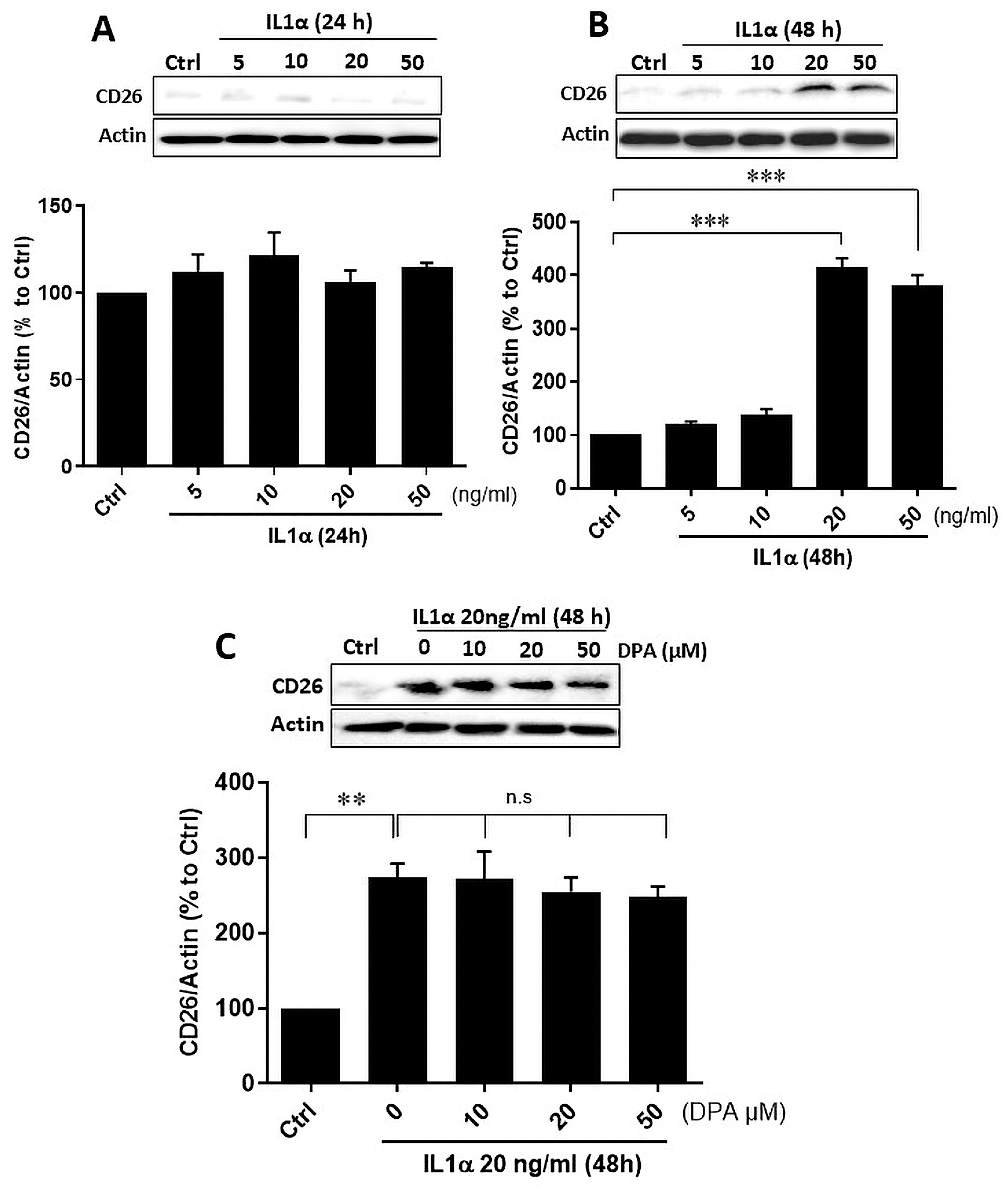 Biomolecules 15 01433 g002