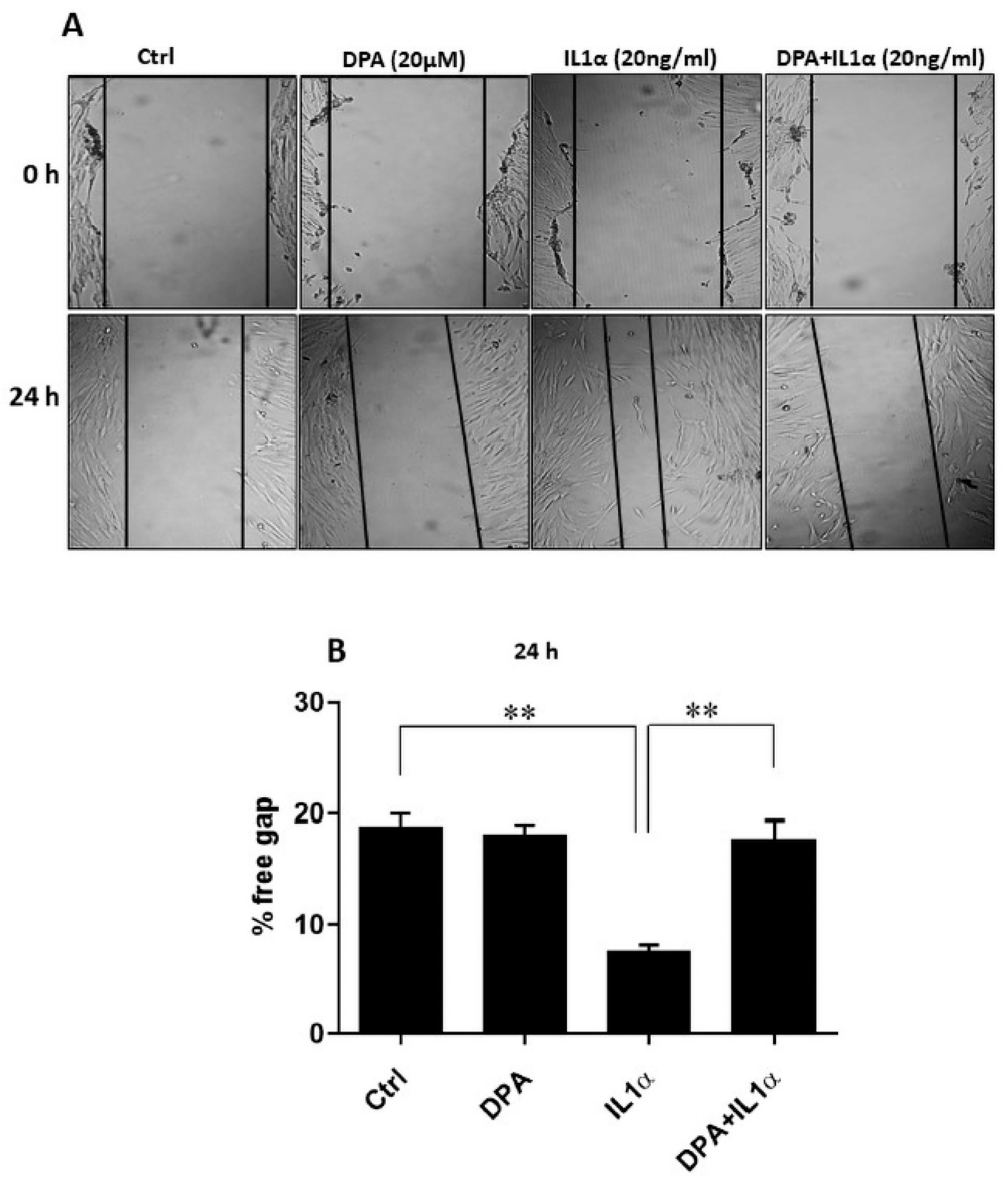 Biomolecules 15 01433 g003
