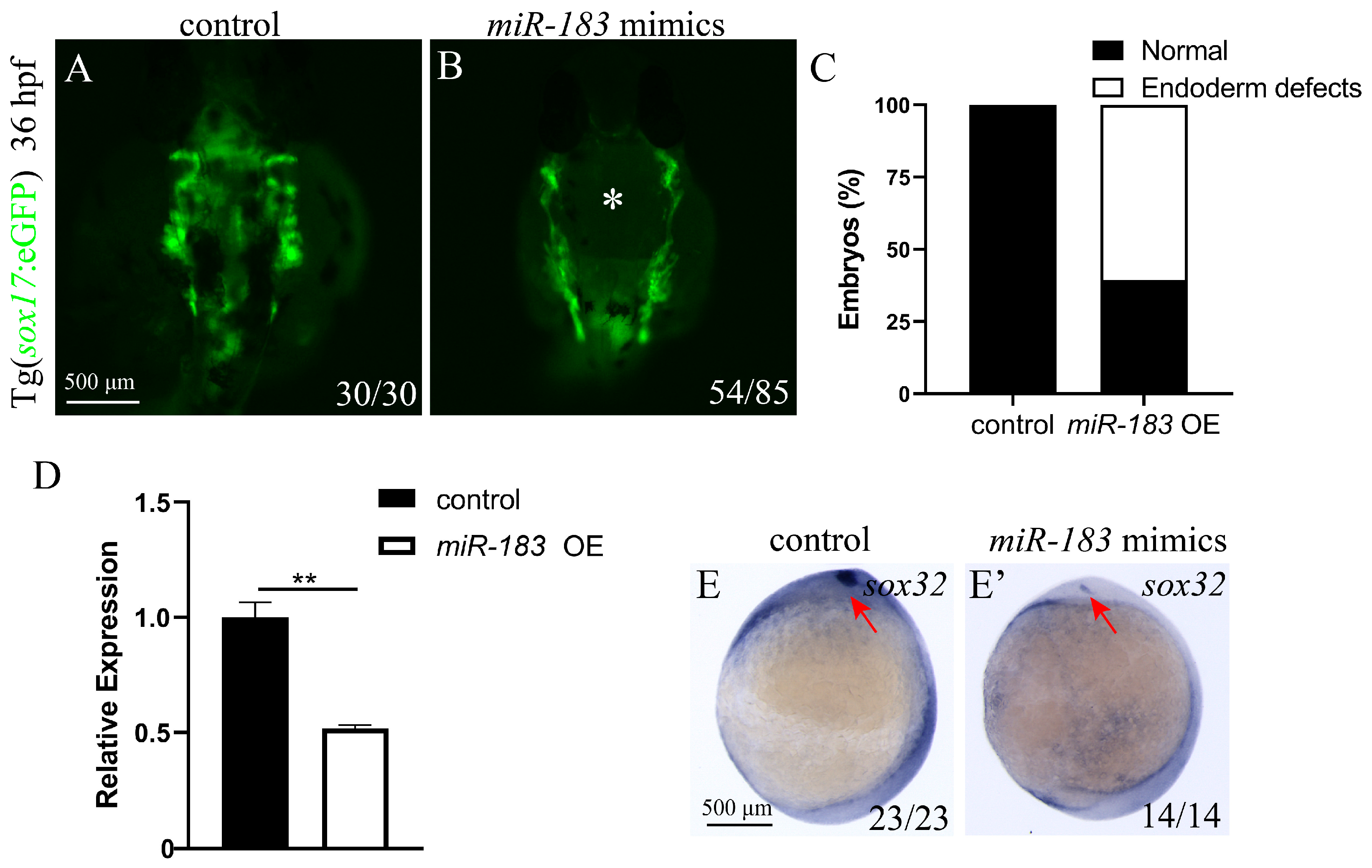 Biomolecules 15 01434 g003