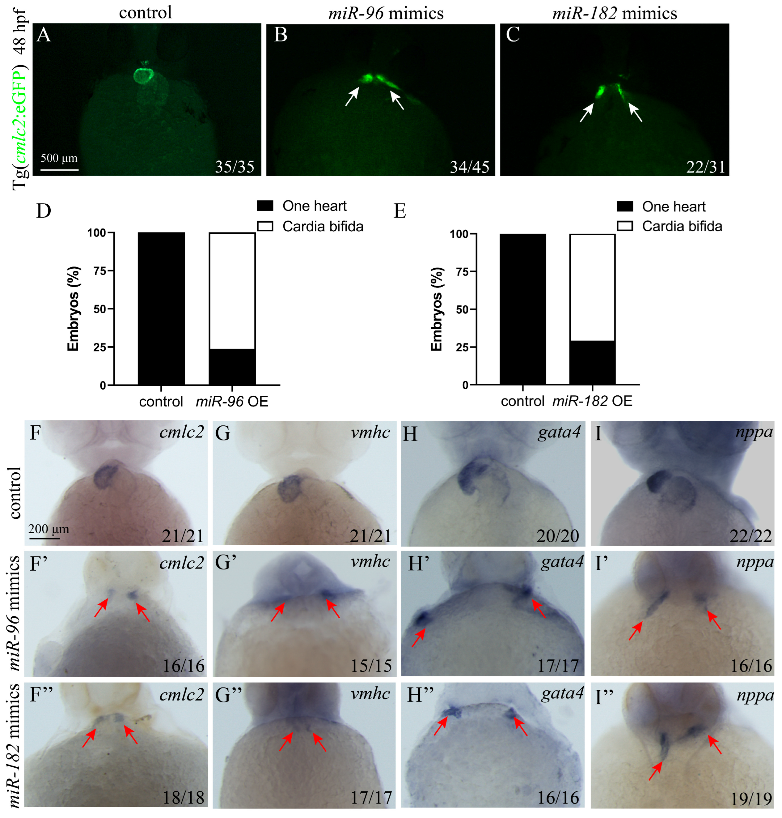 Biomolecules 15 01434 g004