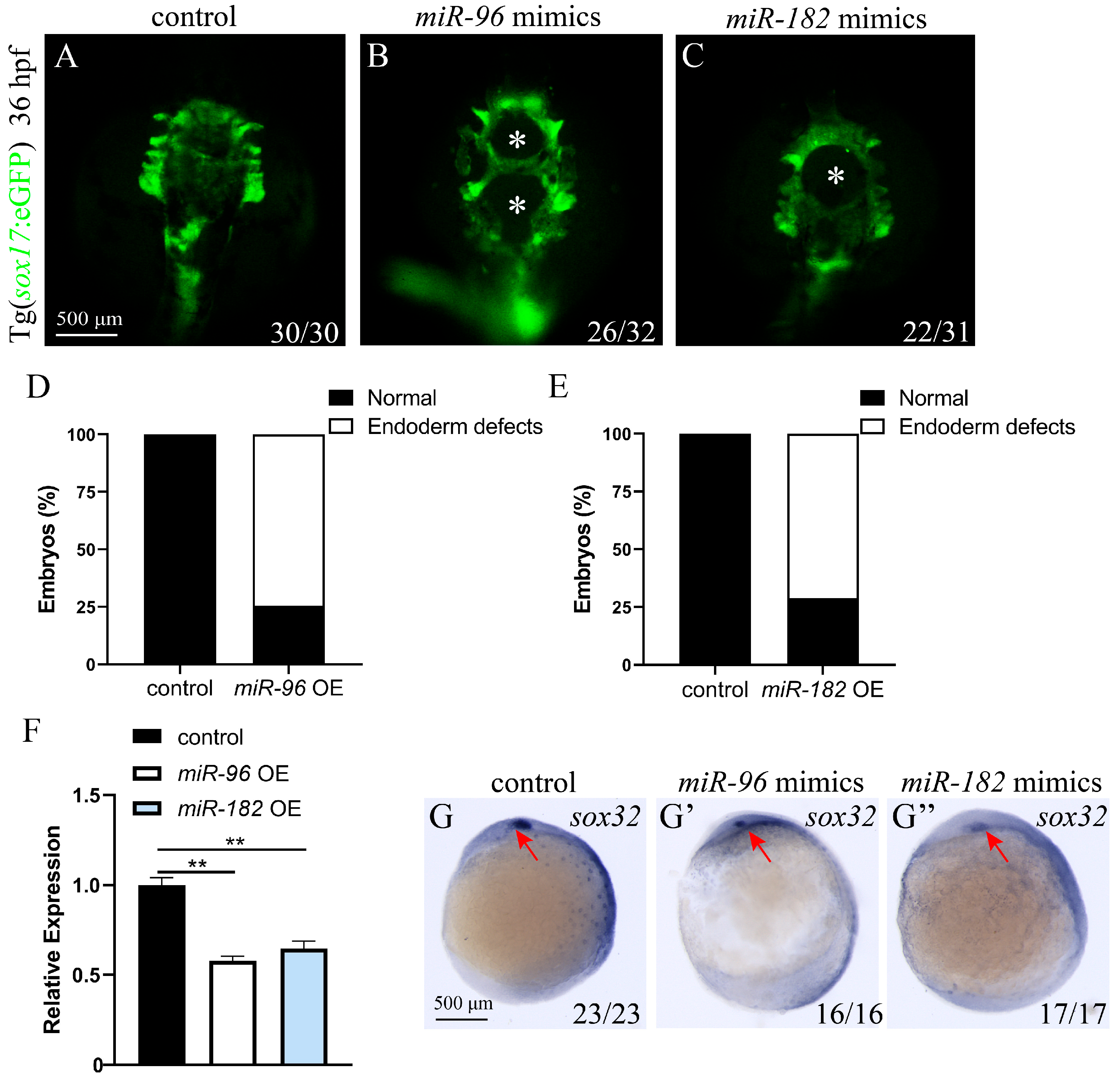 Biomolecules 15 01434 g005