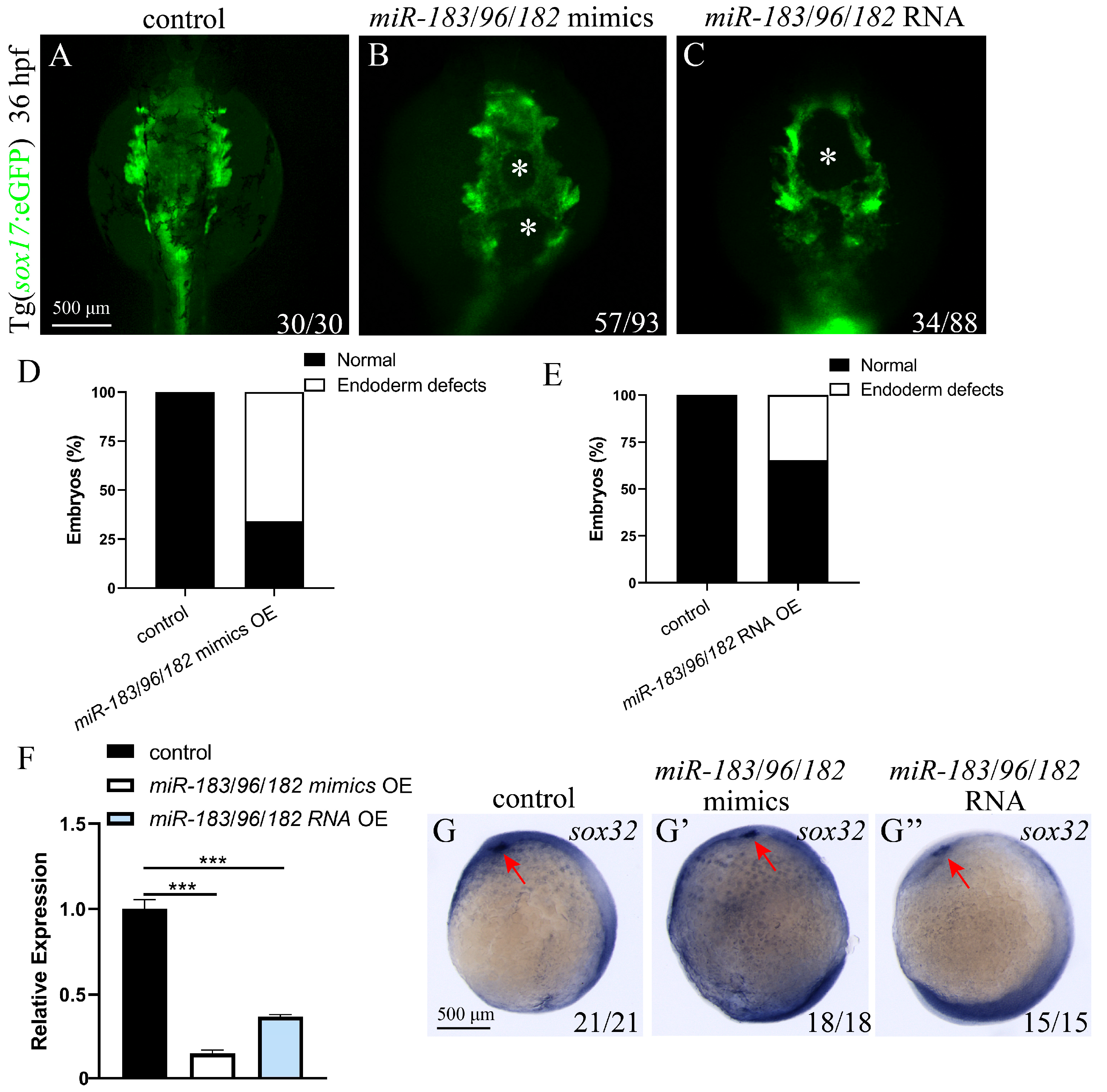 Biomolecules 15 01434 g006