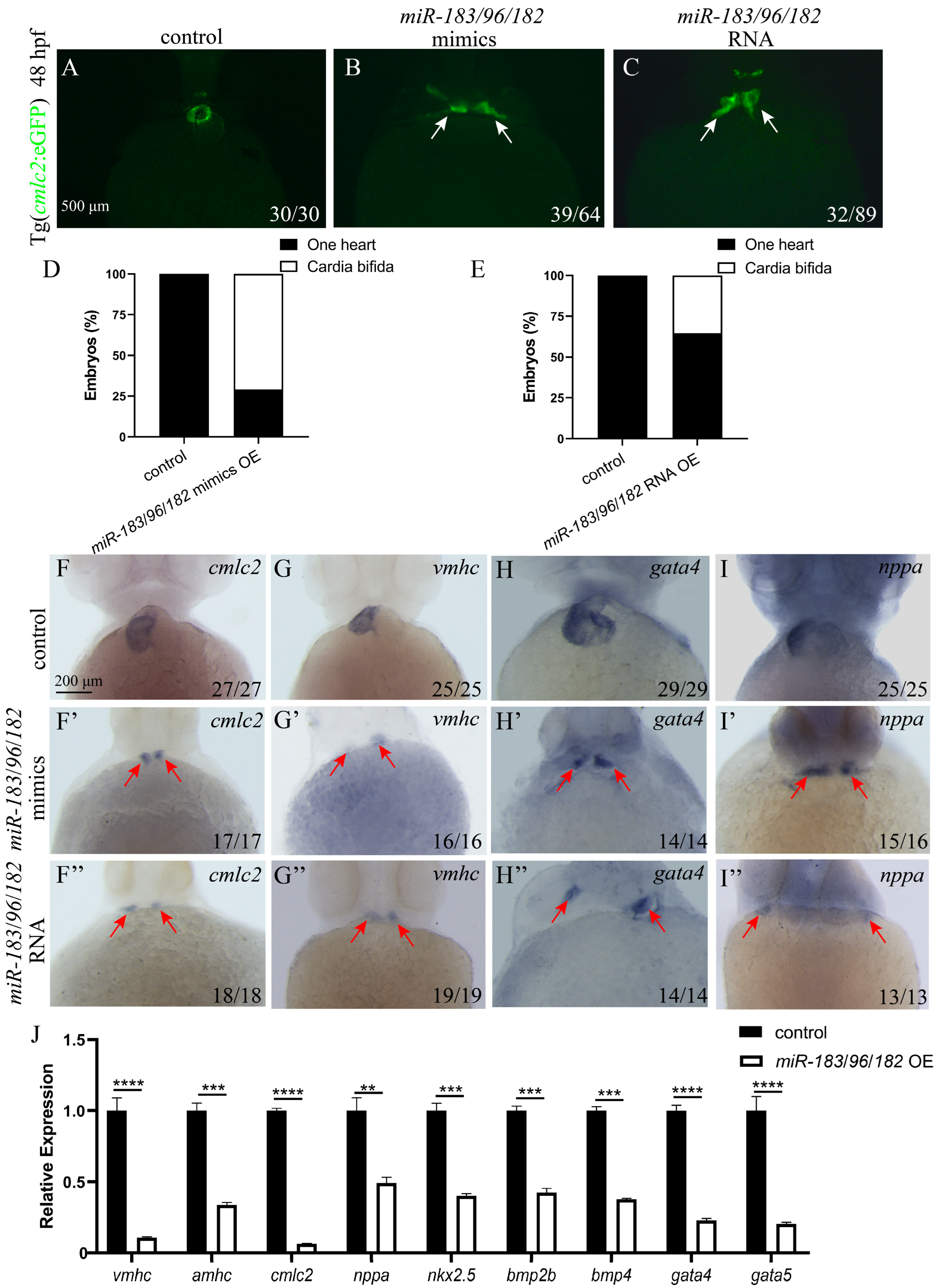 Biomolecules 15 01434 g007