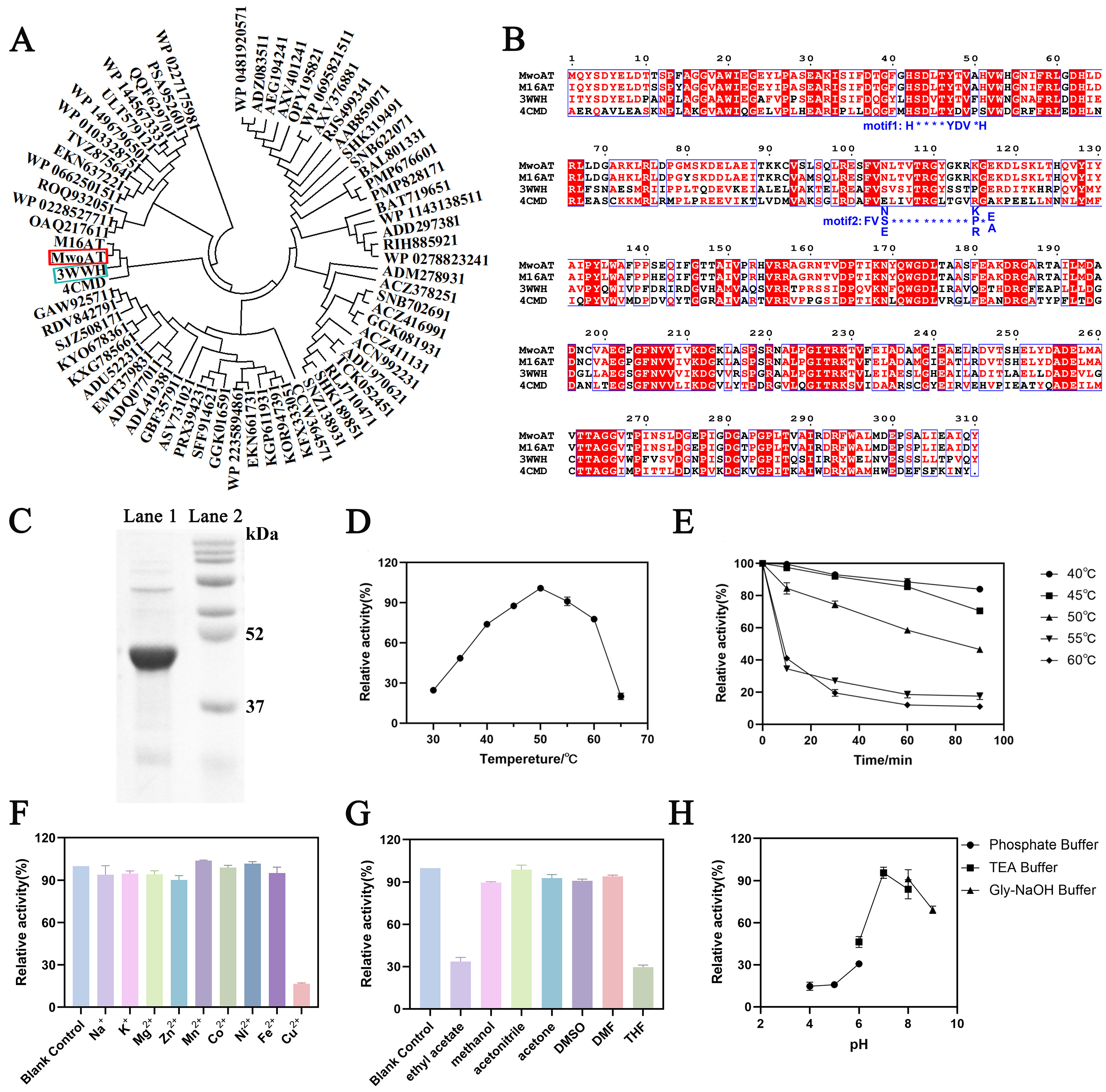 Biomolecules 15 01435 g001 Biomolecules 15 01435 g001