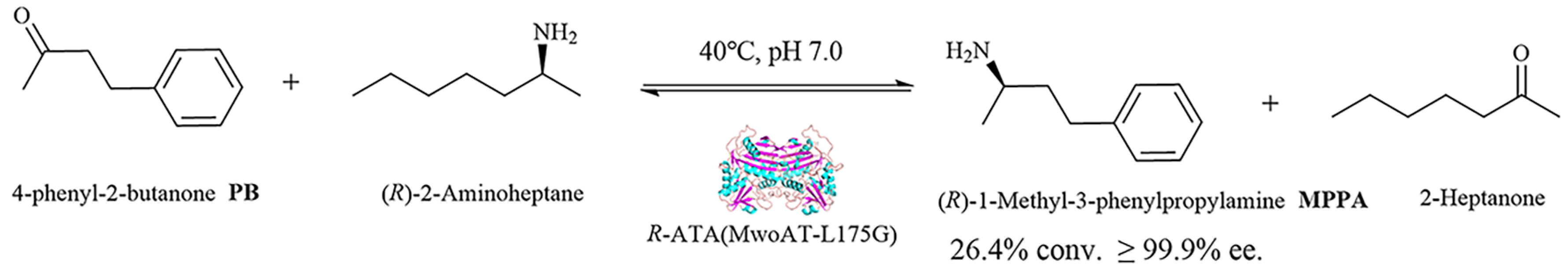 Biomolecules 15 01435 sch001 Biomolecules 15 01435 sch001