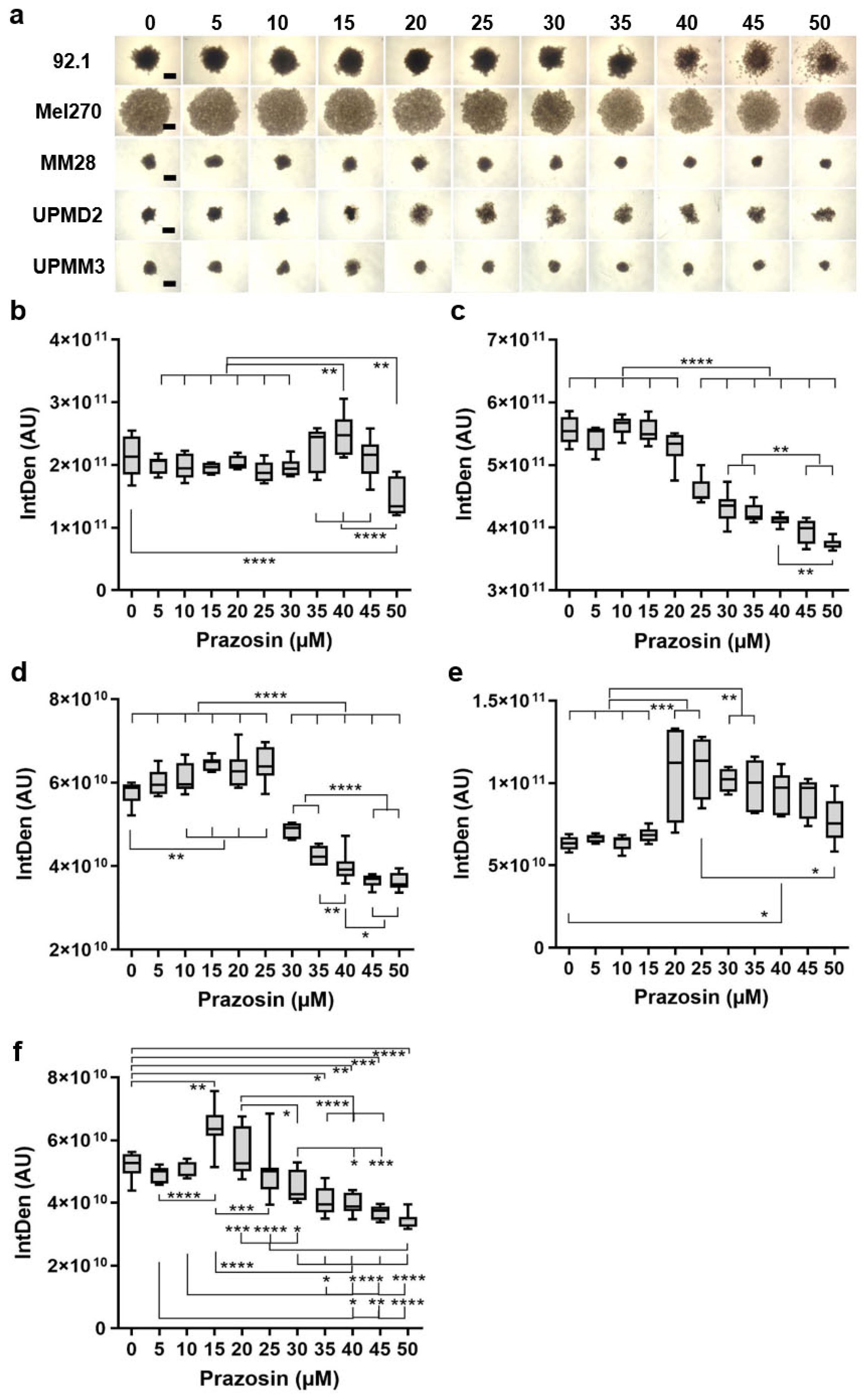 Biomolecules 15 01436 g003 Biomolecules 15 01436 g003