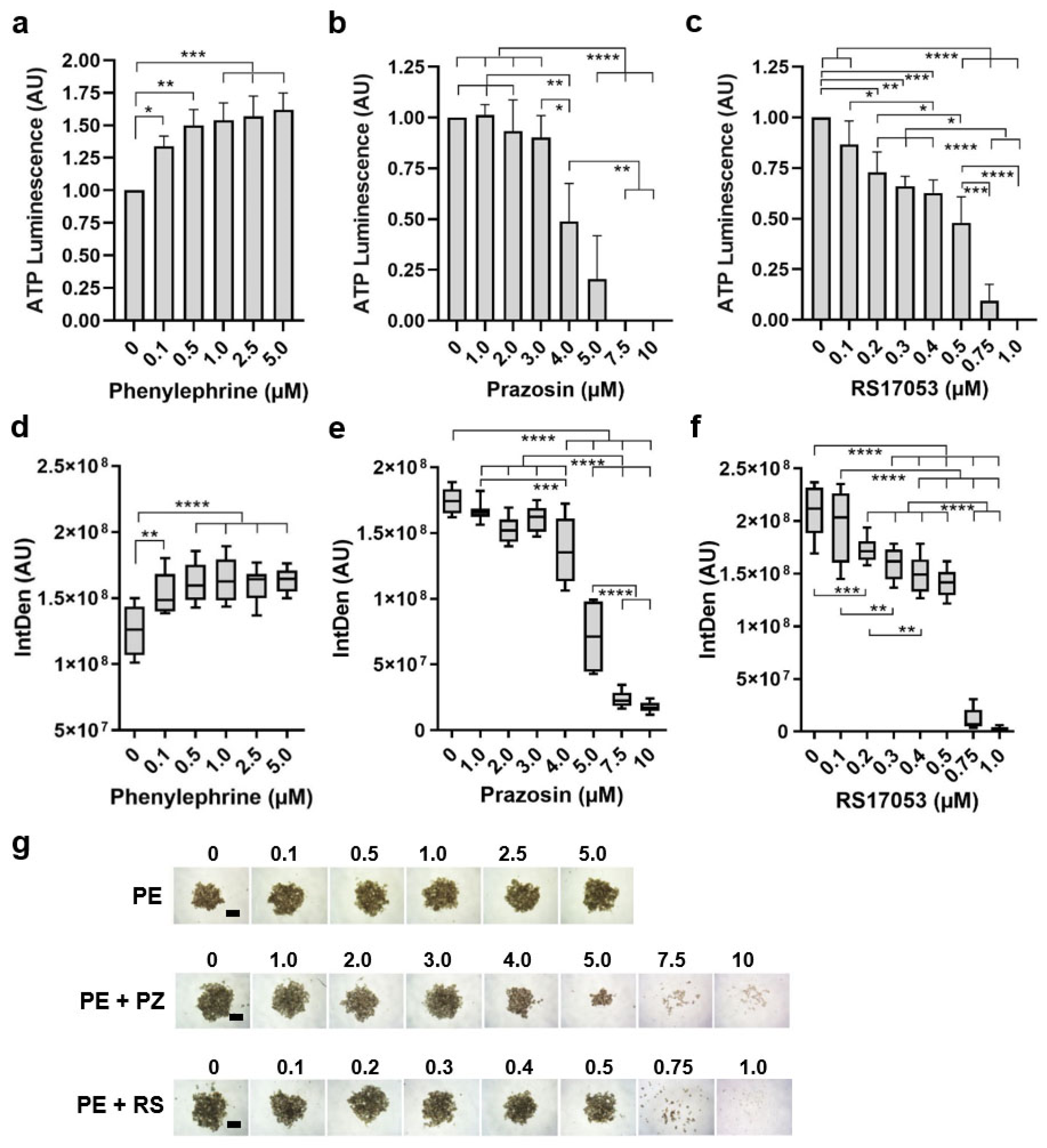 Biomolecules 15 01436 g005 Biomolecules 15 01436 g005