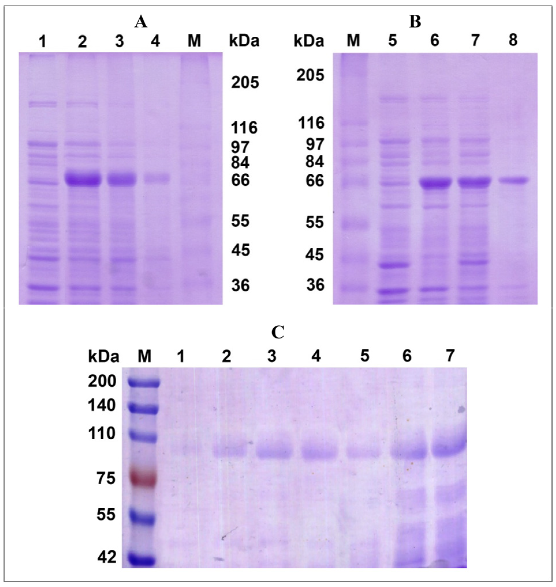 Biomolecules 15 01437 g001