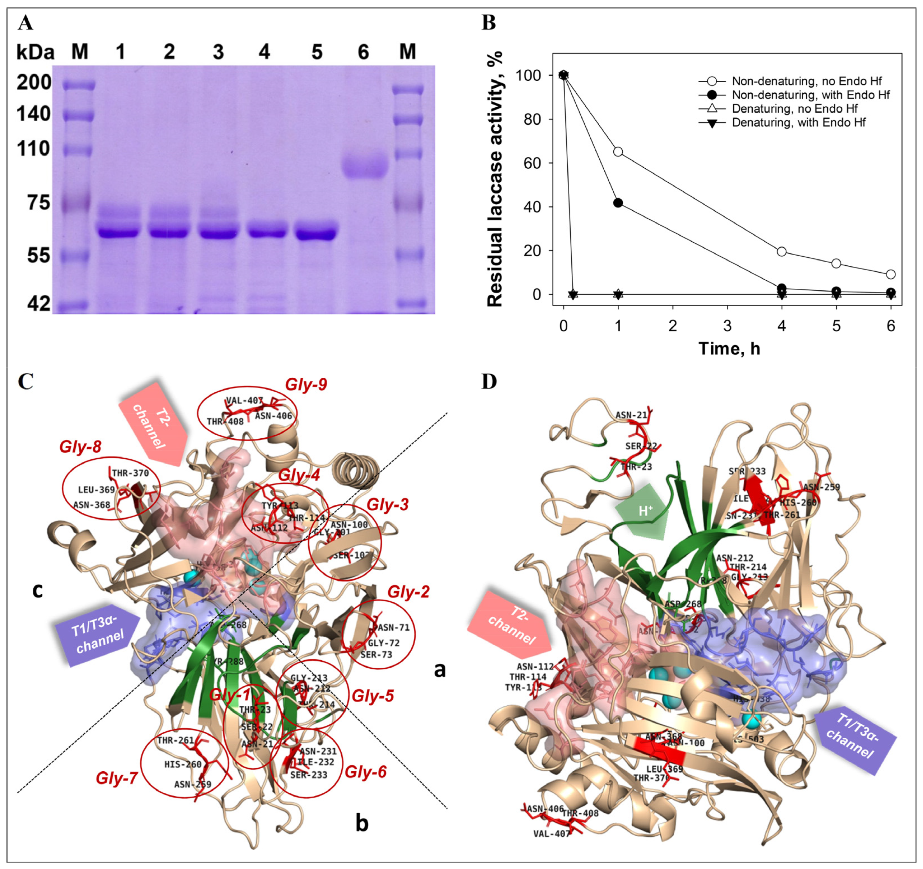 Biomolecules 15 01437 g002