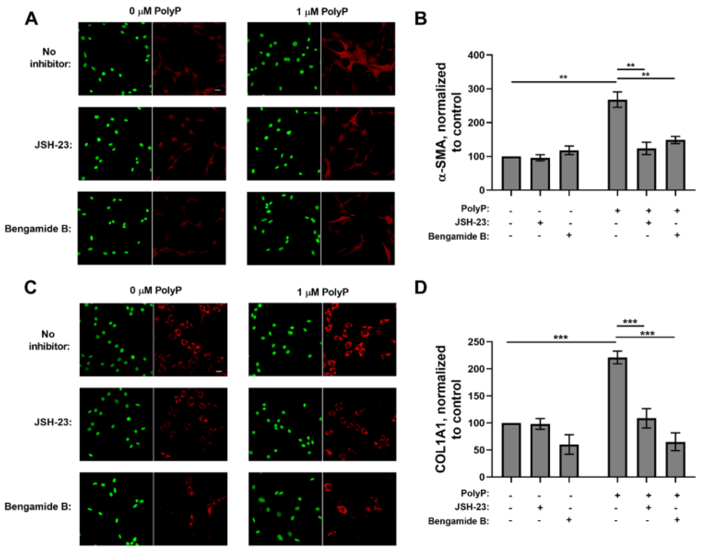Biomolecules 15 01441 g002 Biomolecules 15 01441 g002