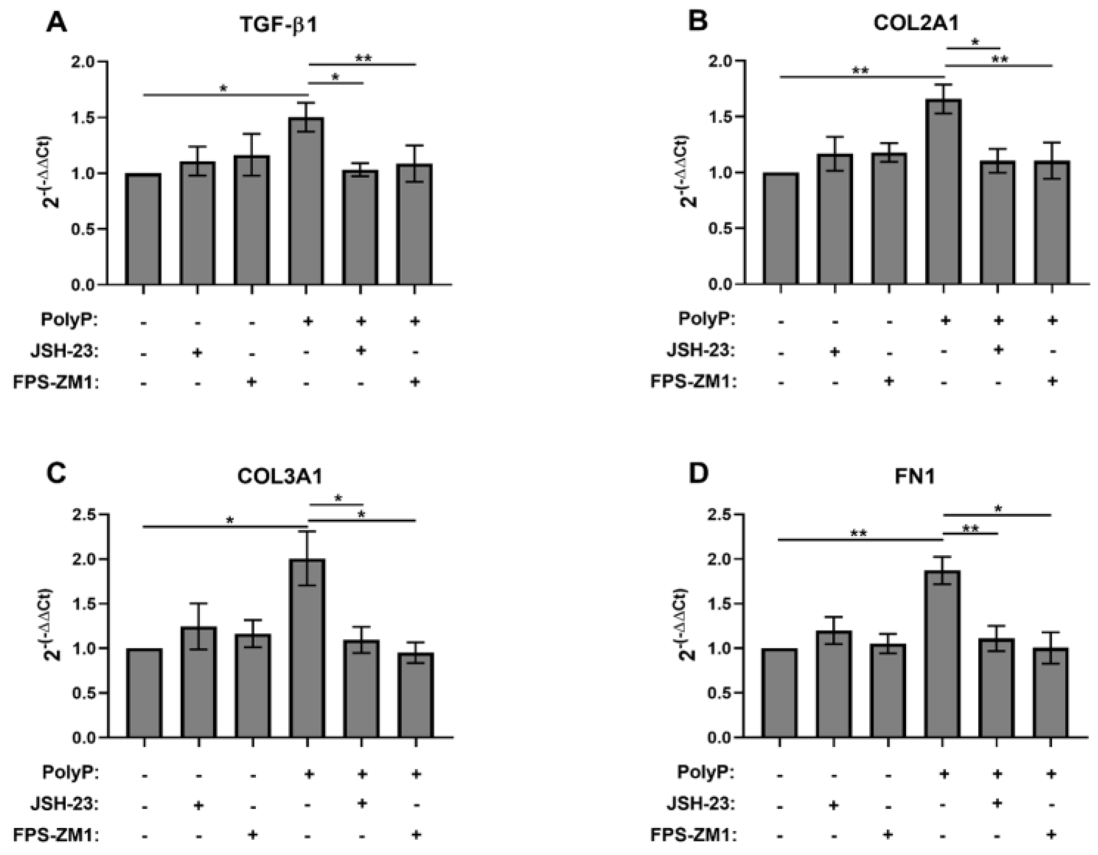 Biomolecules 15 01441 g004 Biomolecules 15 01441 g004