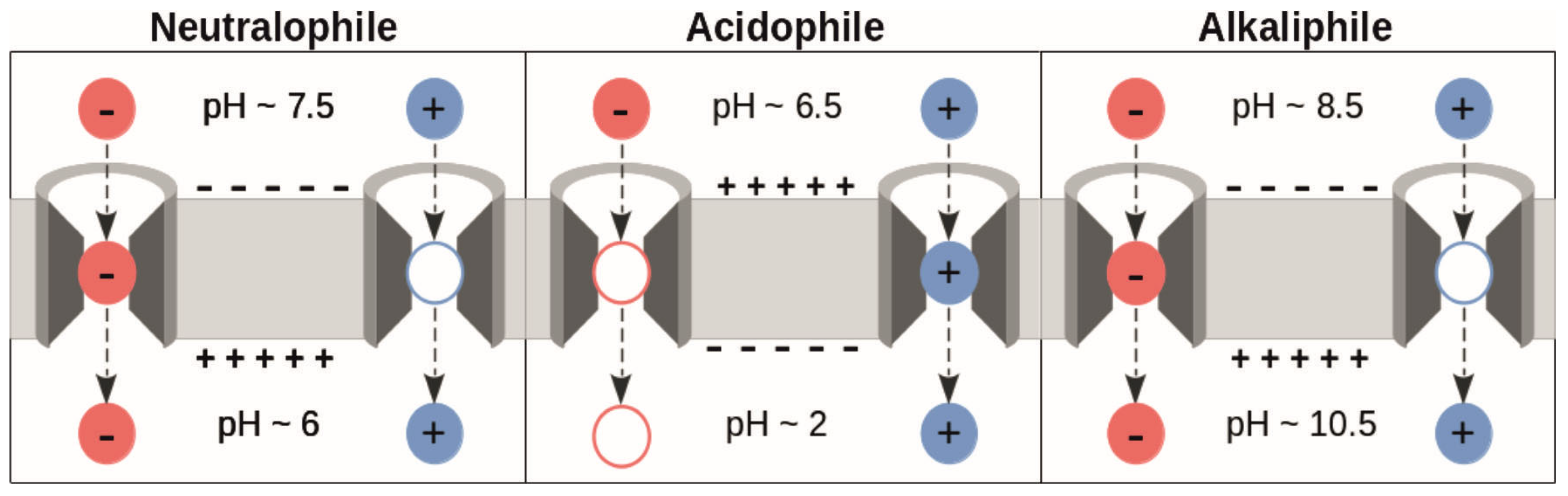 Biomolecules 15 01442 g002