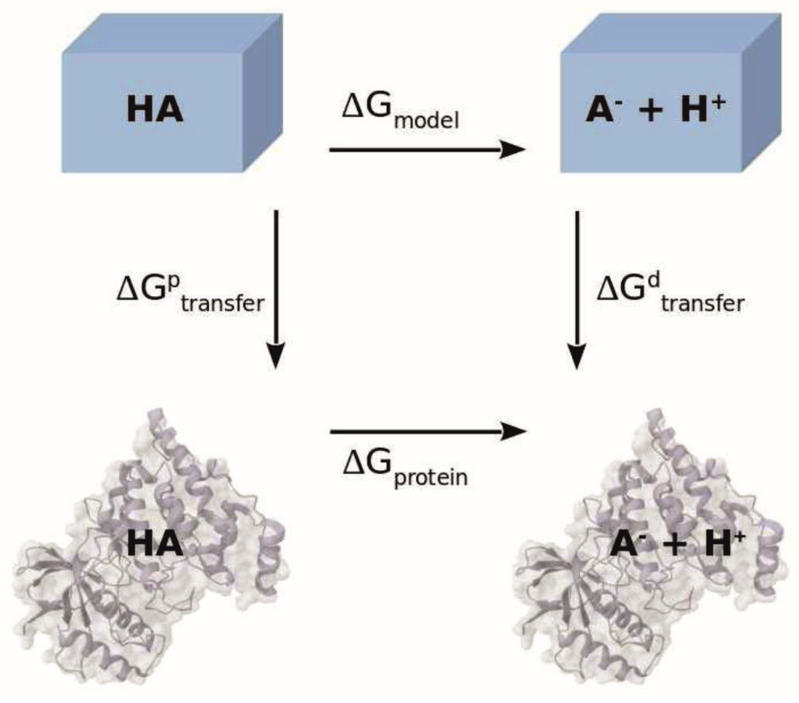 Biomolecules 15 01442 g003