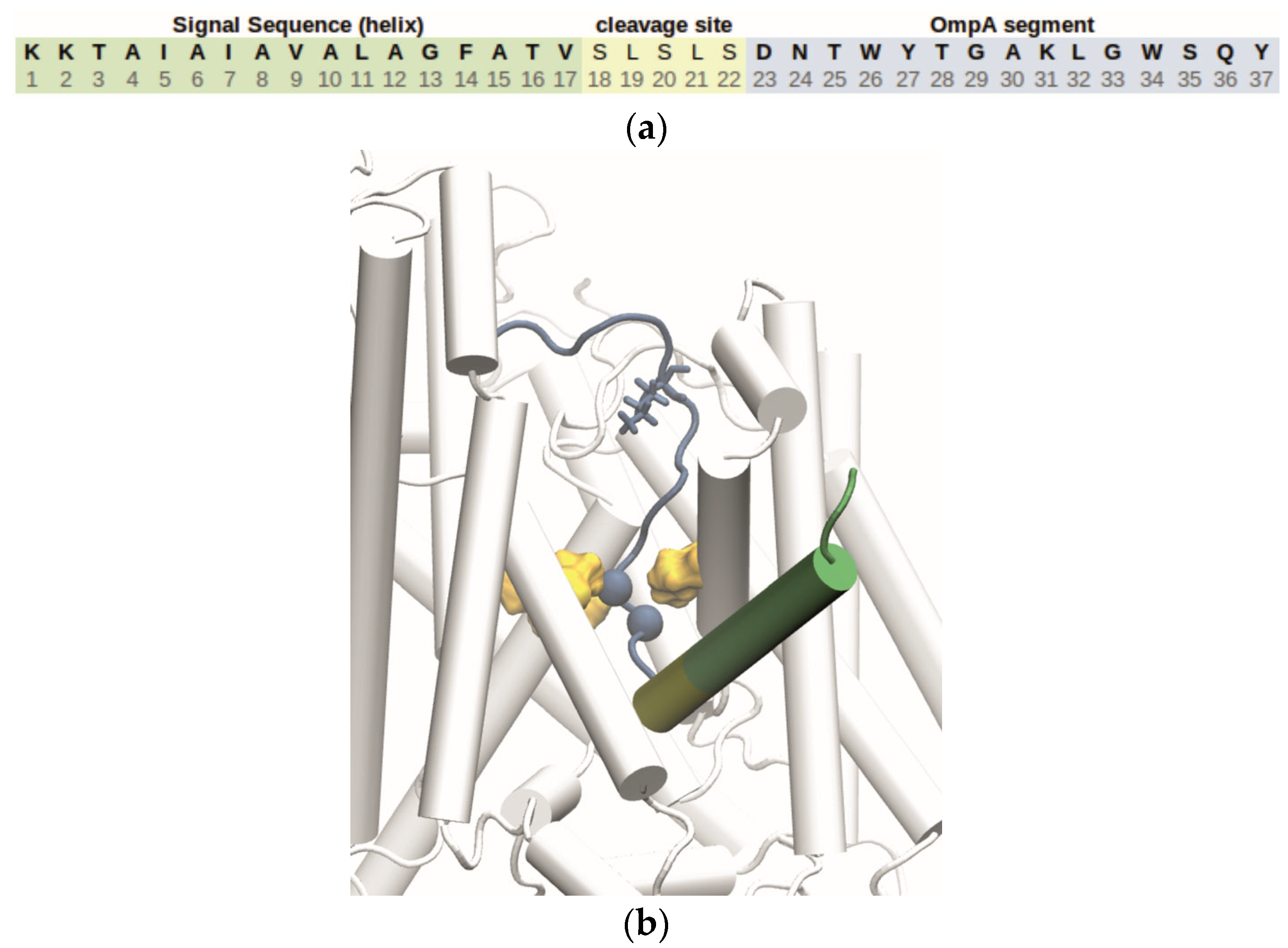Biomolecules 15 01442 g004
