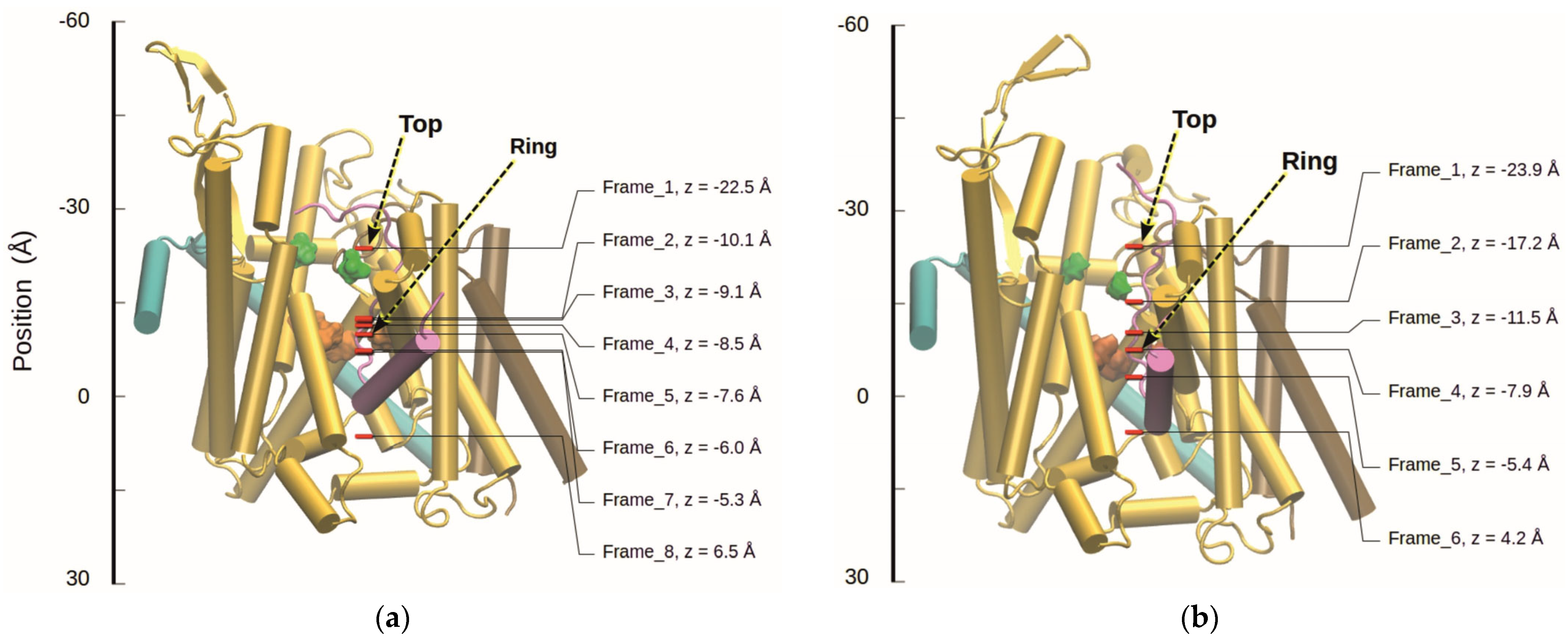 Biomolecules 15 01442 g005