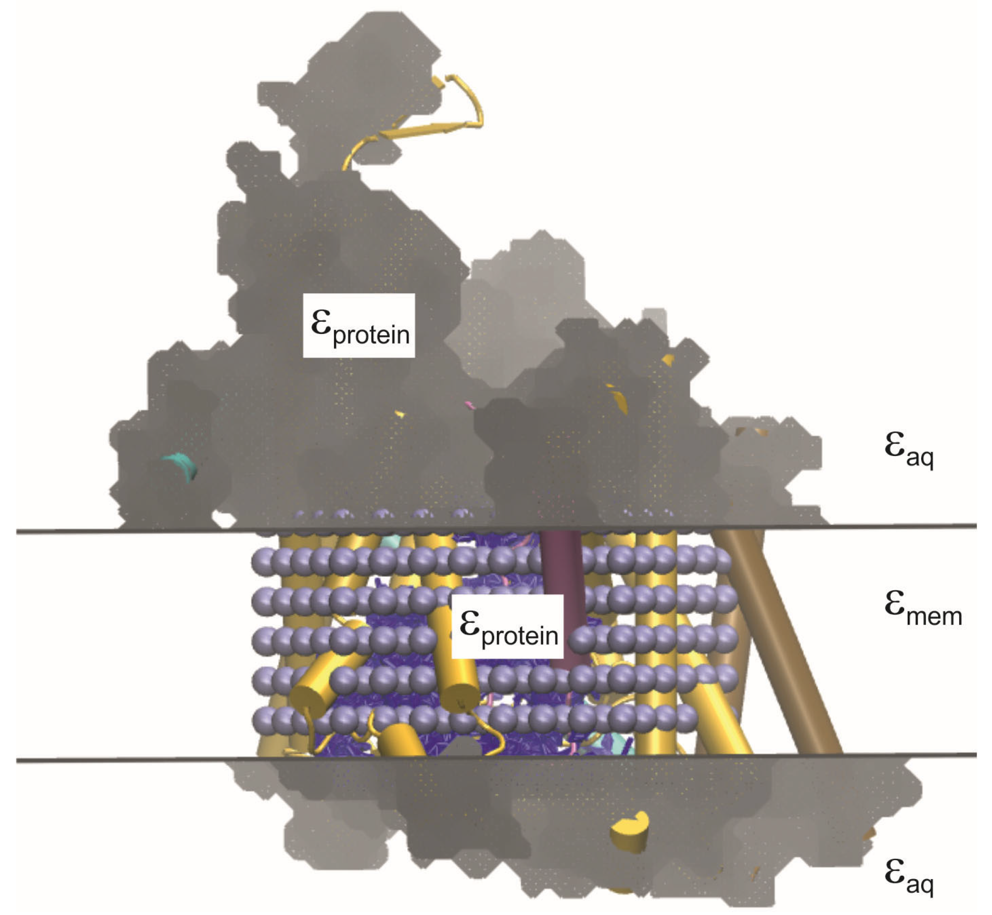 Biomolecules 15 01442 g006