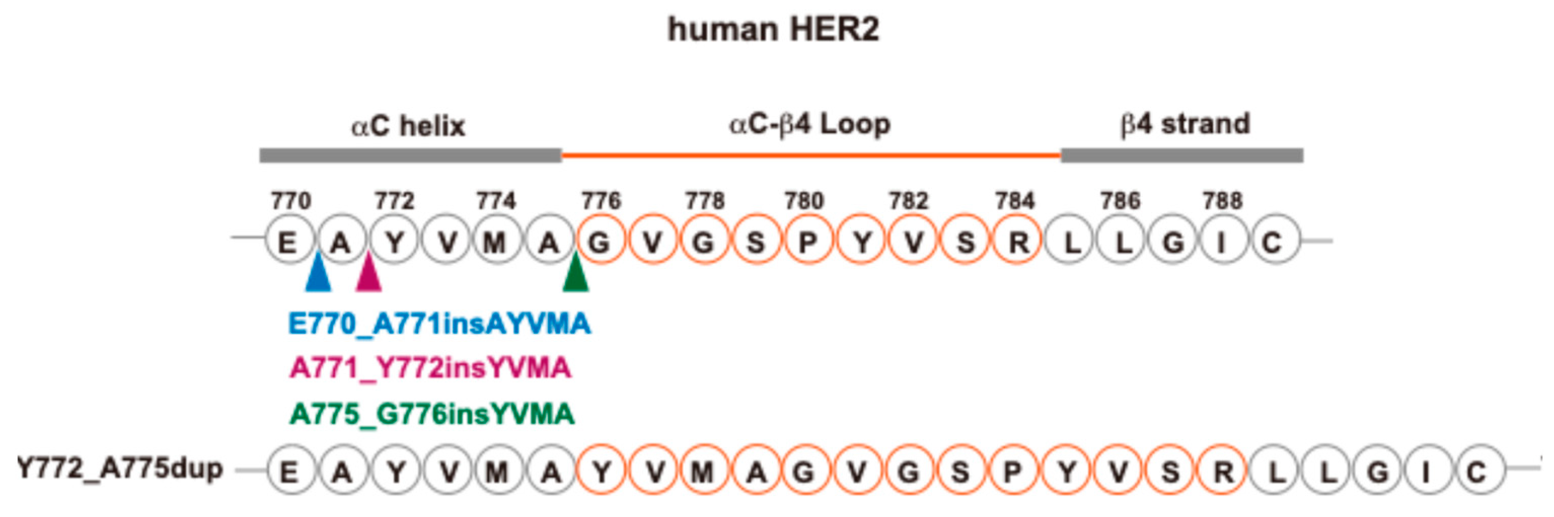 Biomolecules 15 01443 g003 Biomolecules 15 01443 g003