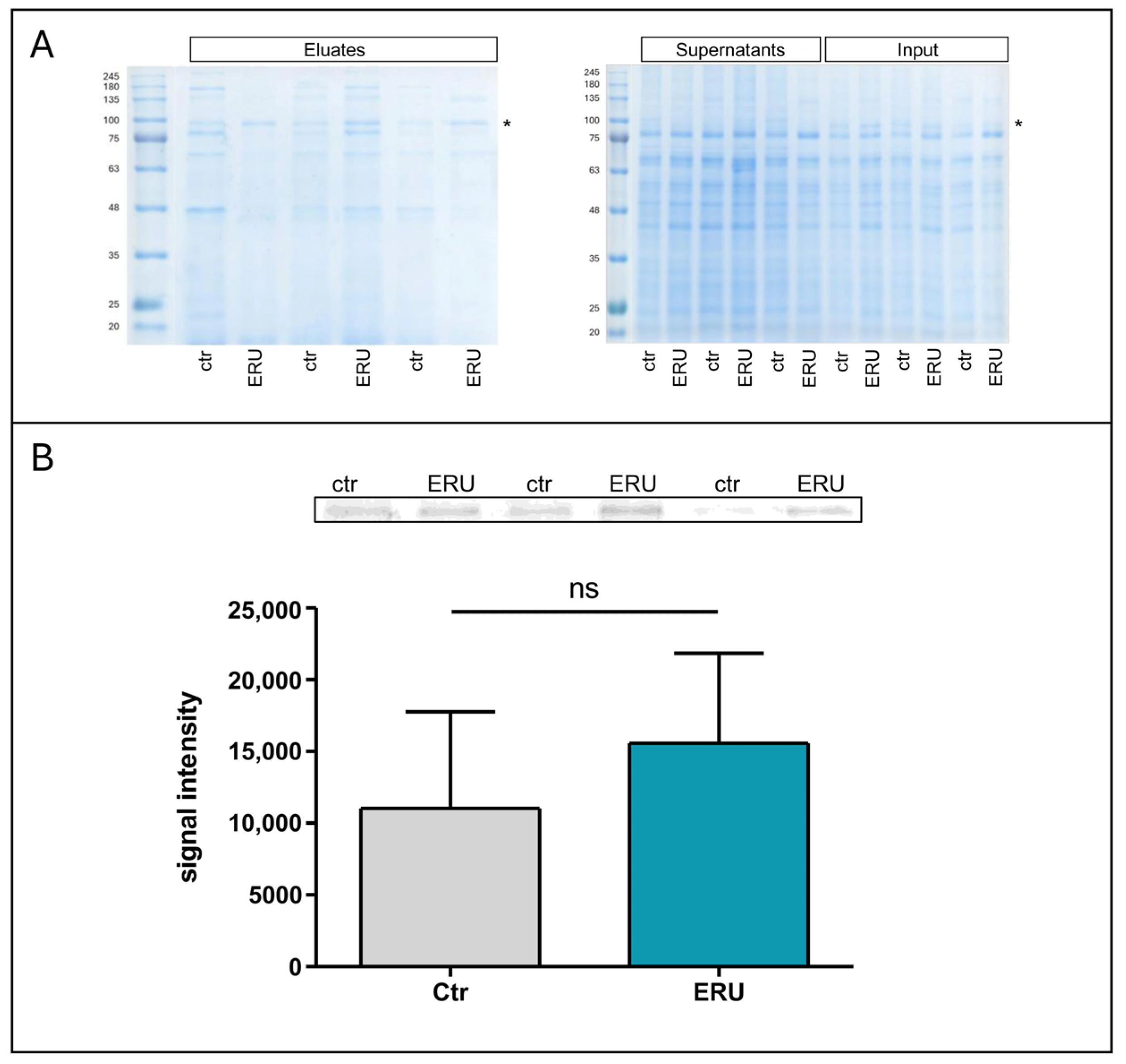 Biomolecules 15 01444 g005