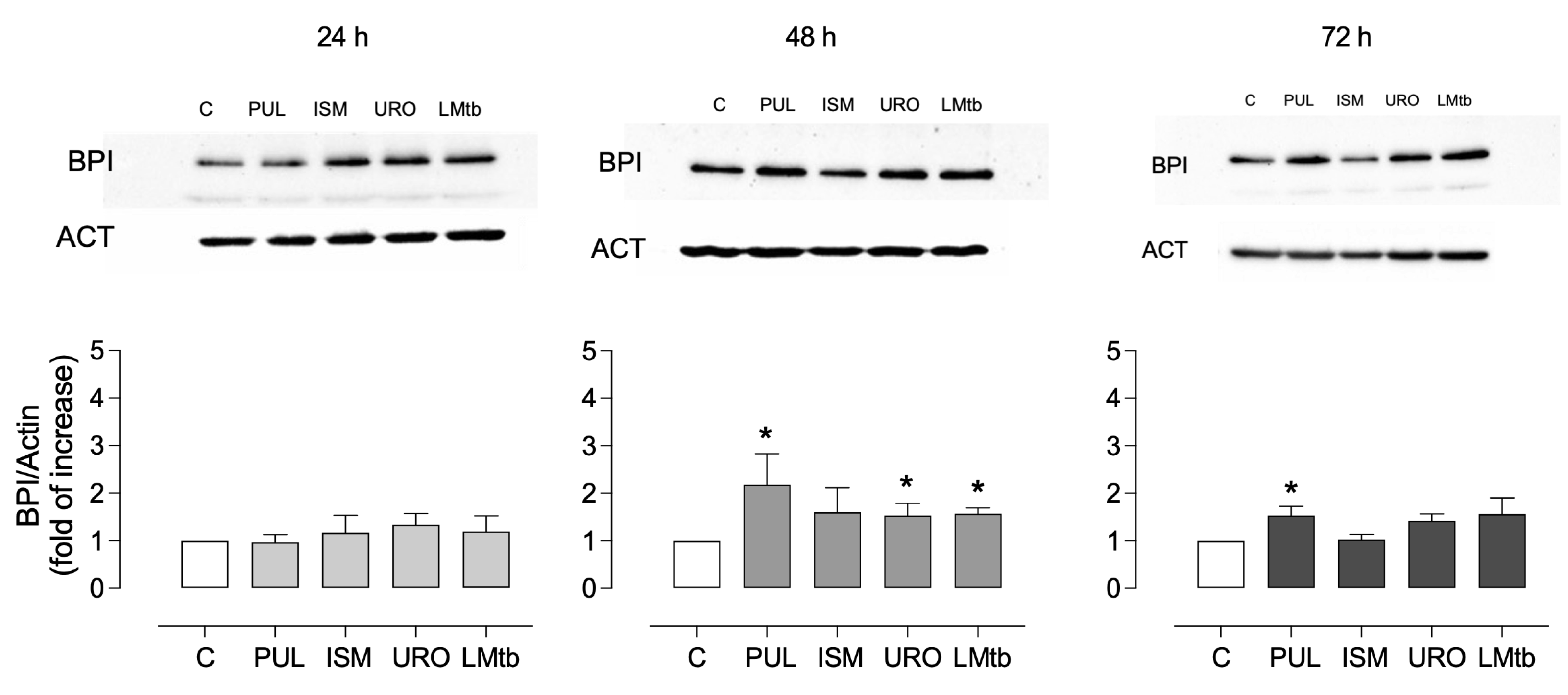 Biomolecules 15 01446 g003
