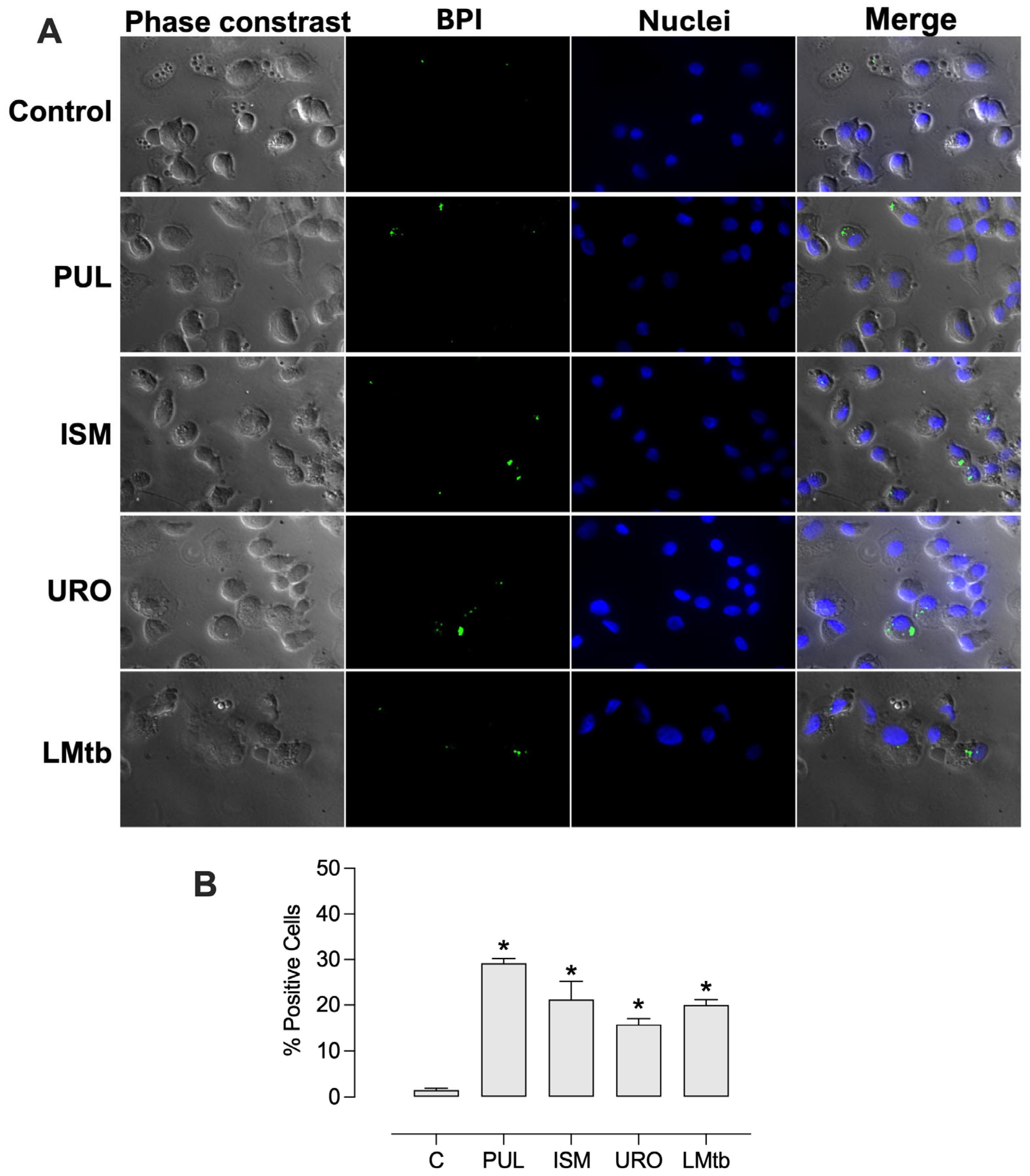 Biomolecules 15 01446 g004