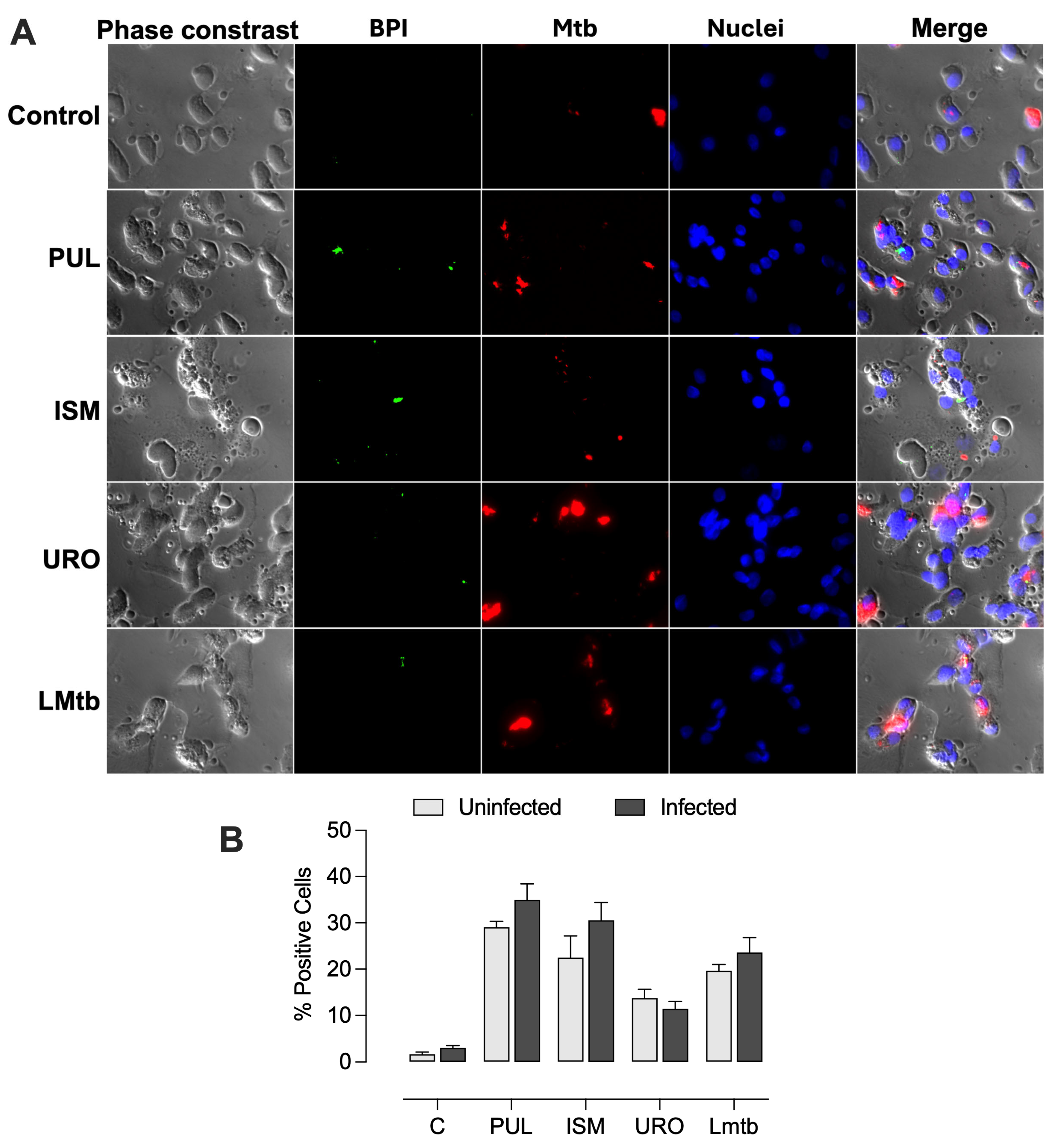 Biomolecules 15 01446 g005