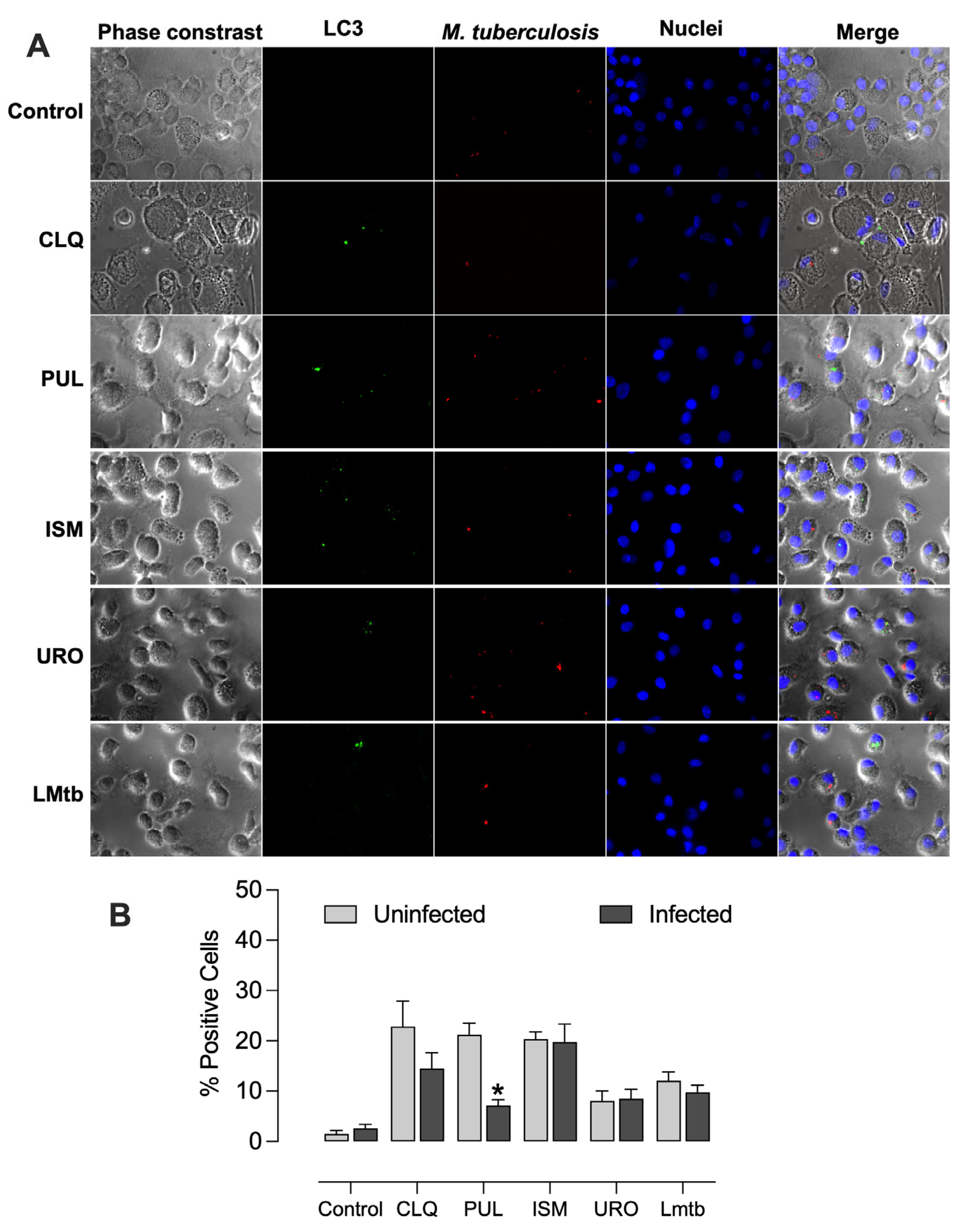 Biomolecules 15 01446 g008