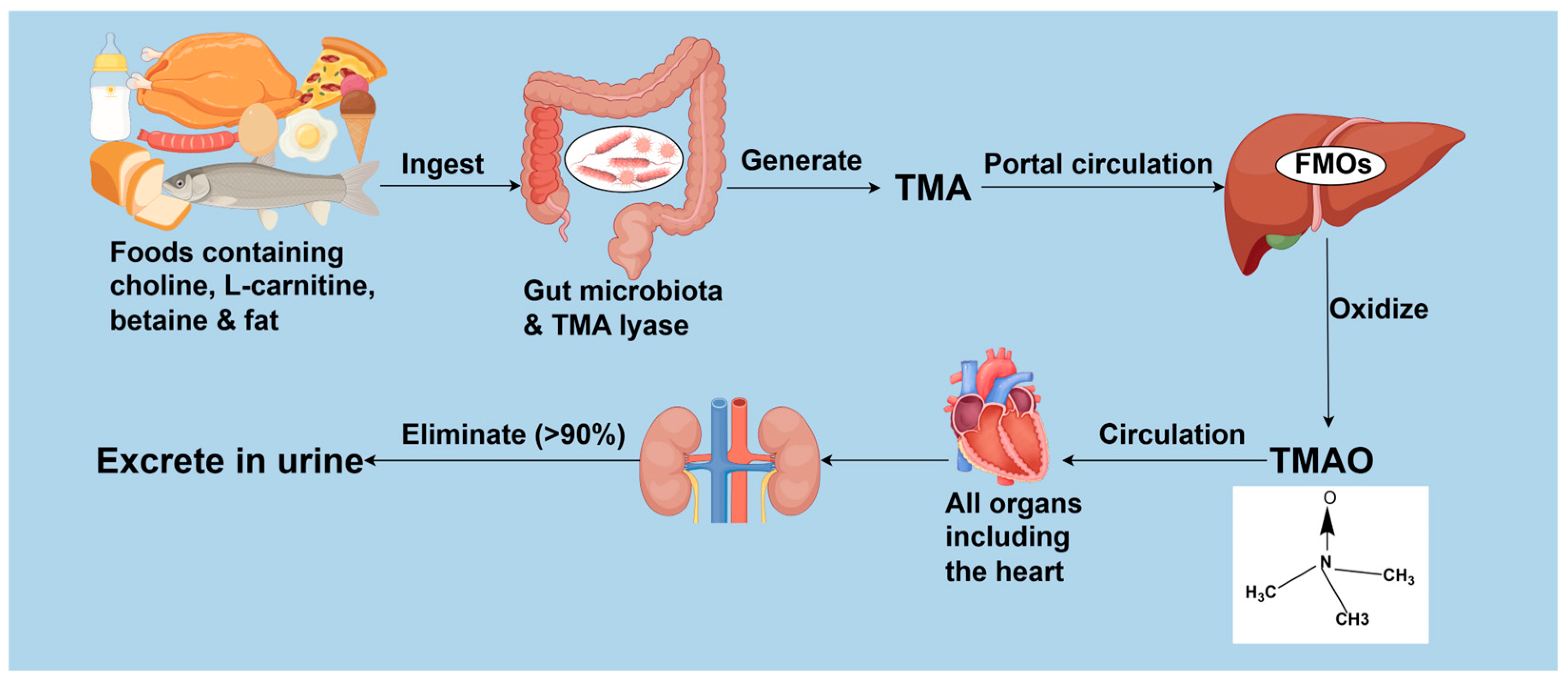 Biomolecules 15 01447 g001