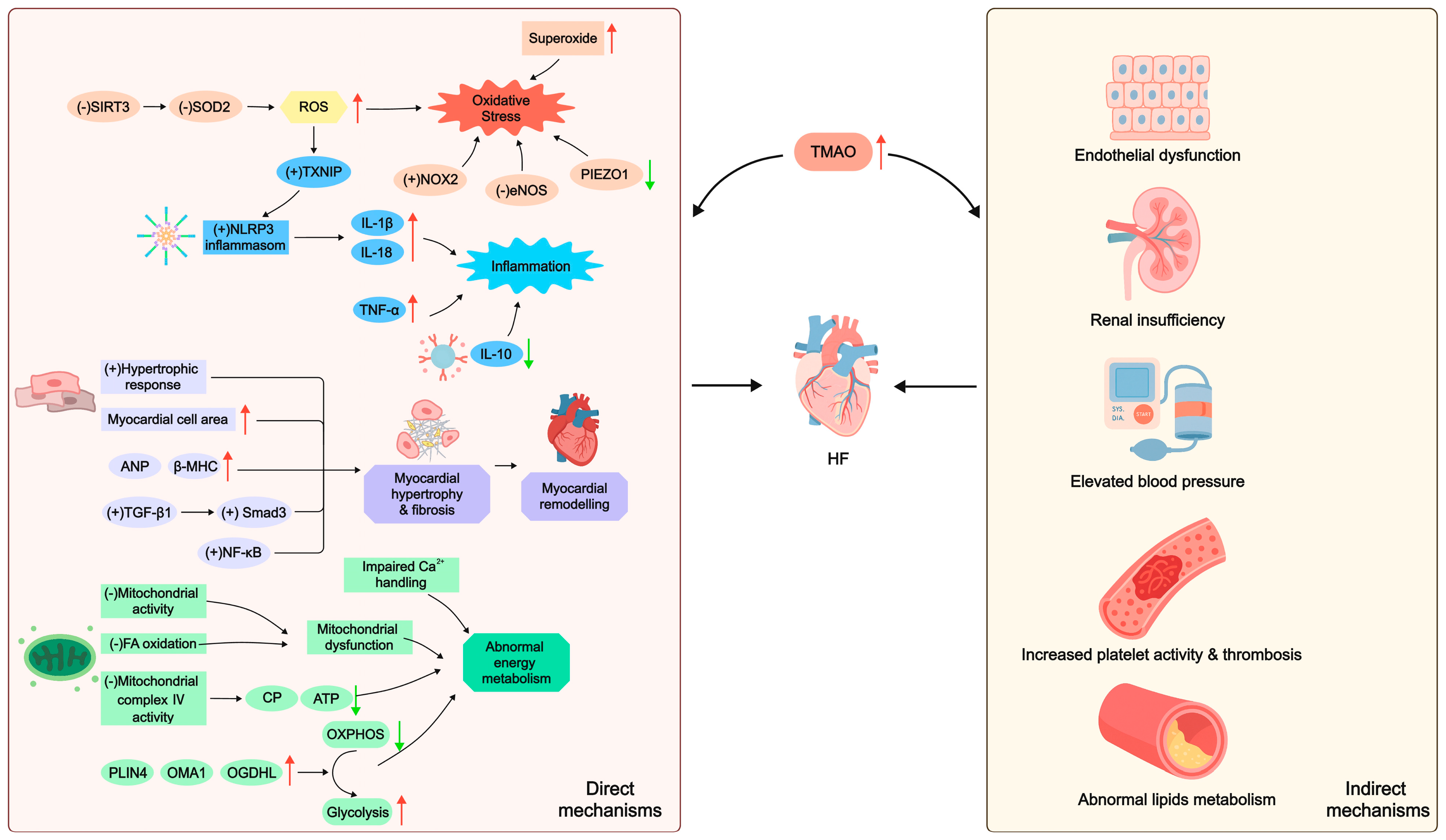 Biomolecules 15 01447 g002