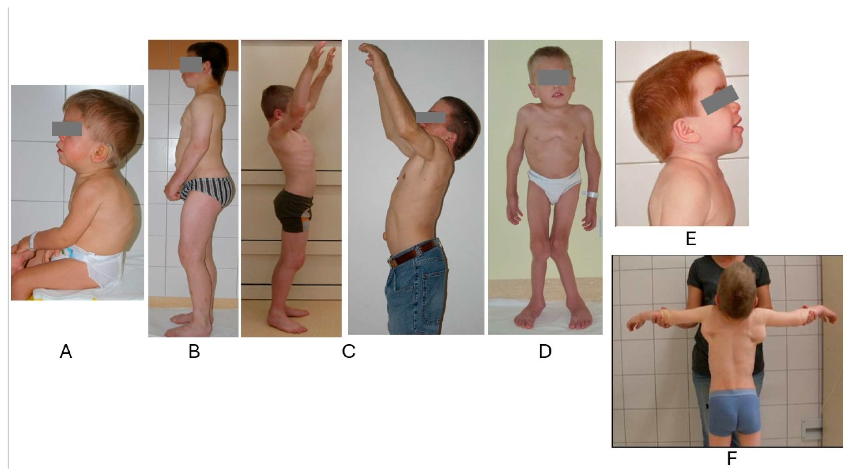 Biomolecules 15 01448 g001 Biomolecules 15 01448 g001
