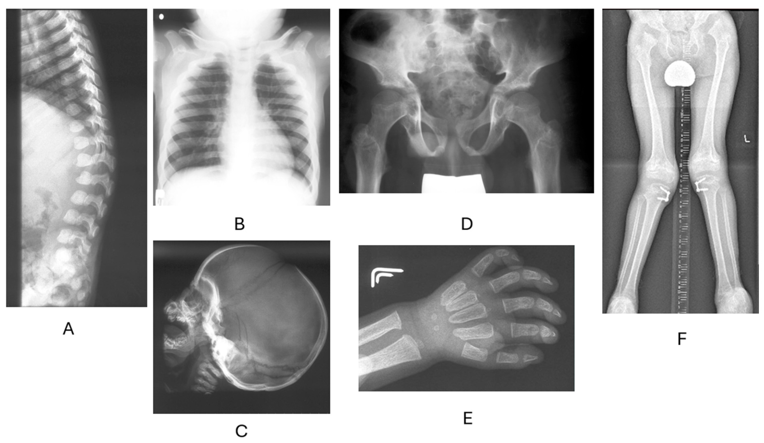 Biomolecules 15 01448 g002 Biomolecules 15 01448 g002