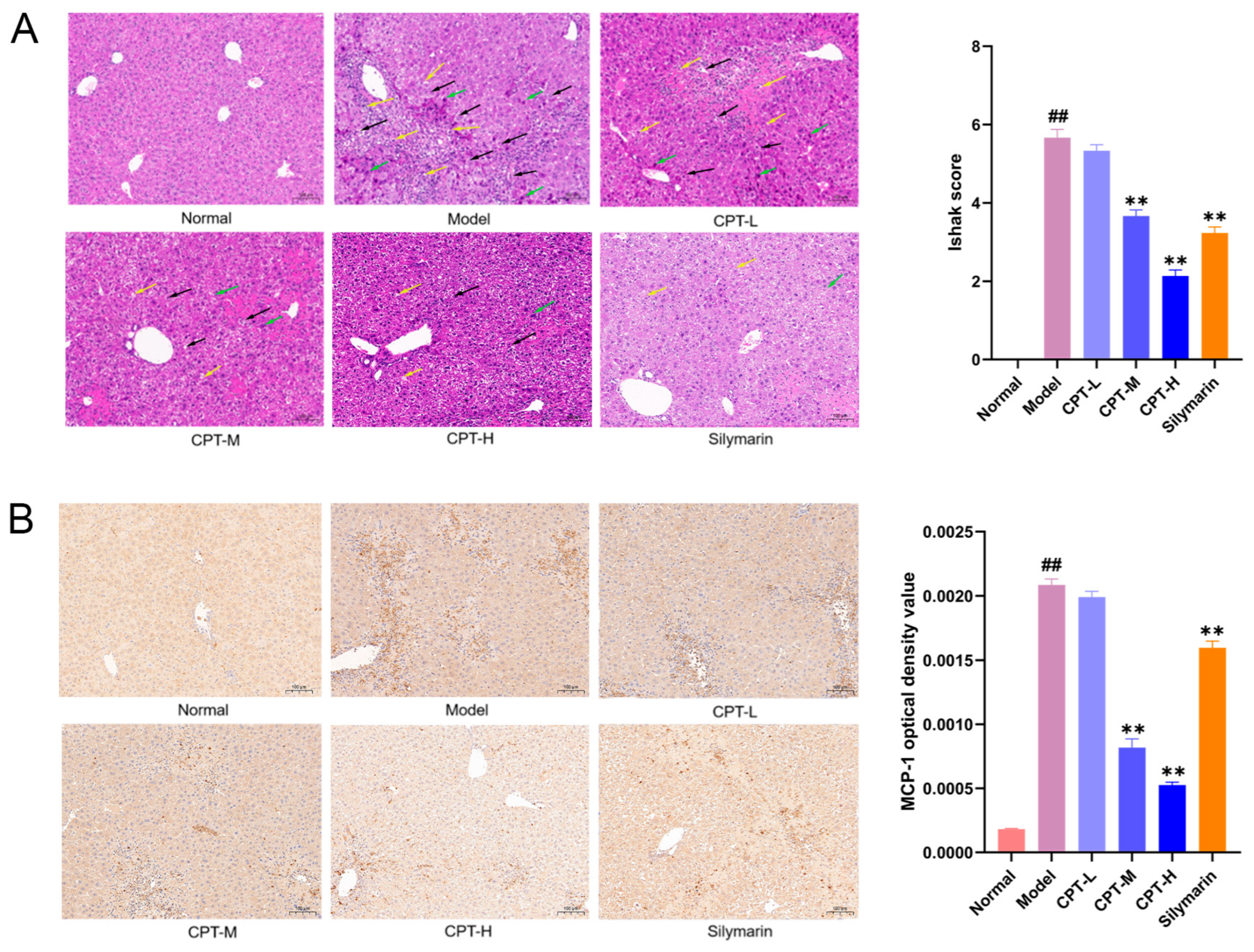 Biomolecules 15 01449 g002